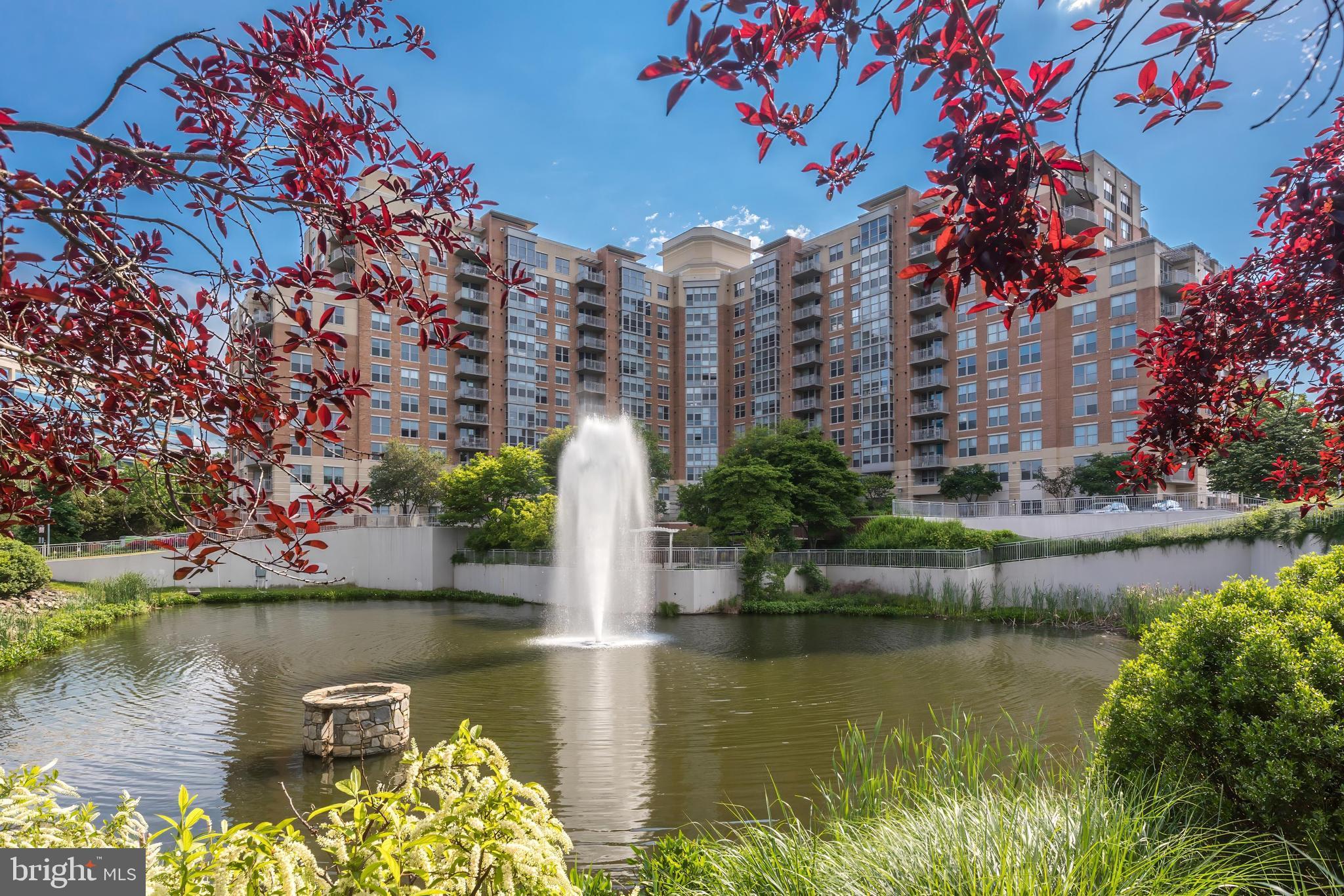 11800 Sunset Hills Rd #203