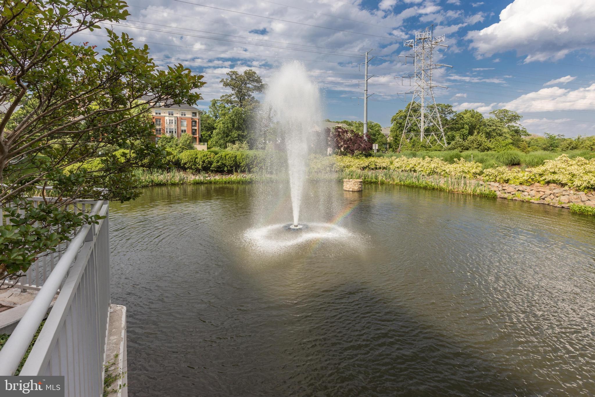 11800 Sunset Hills Rd #203