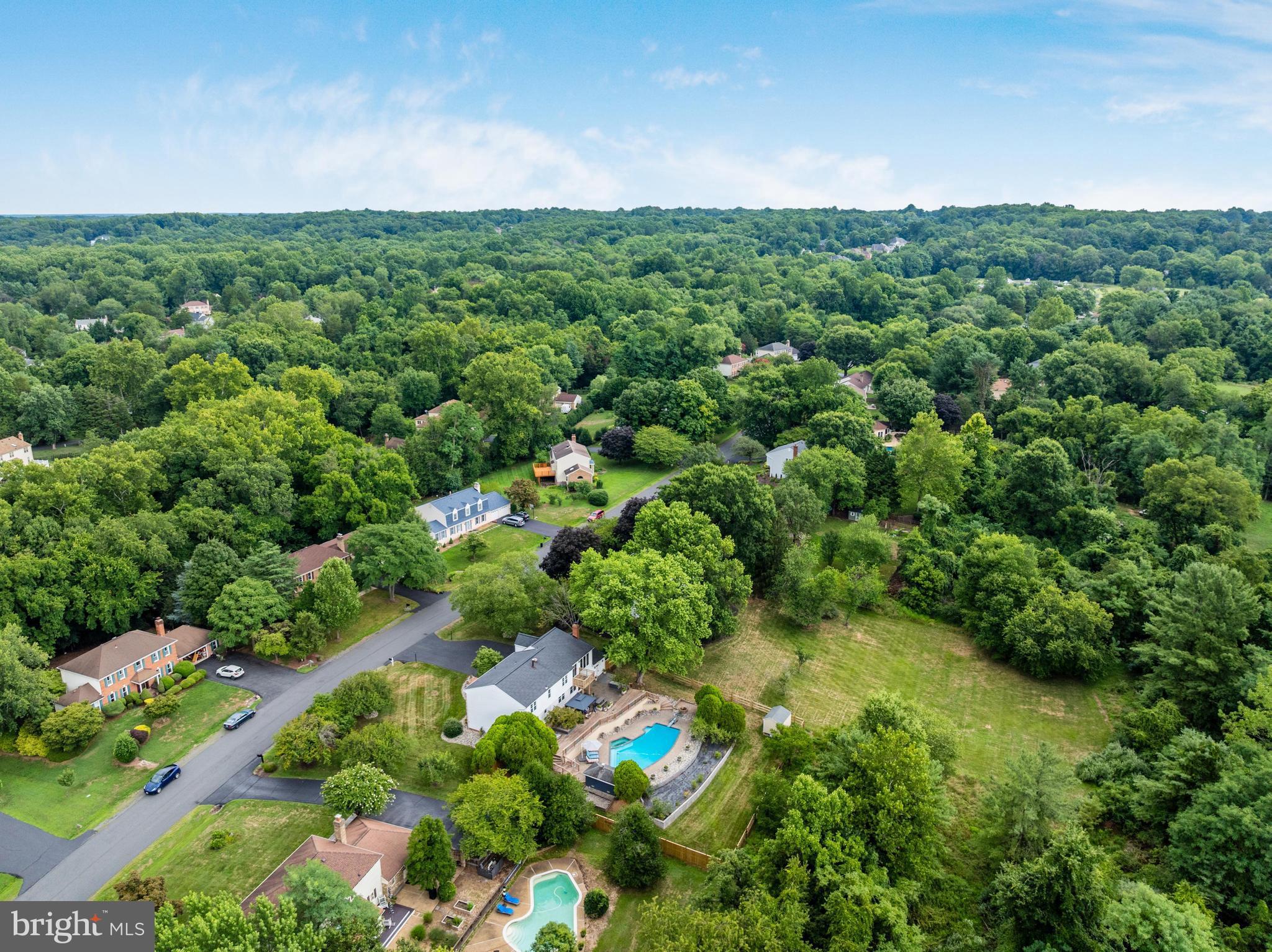 1006 Cup Leaf Holly Ct