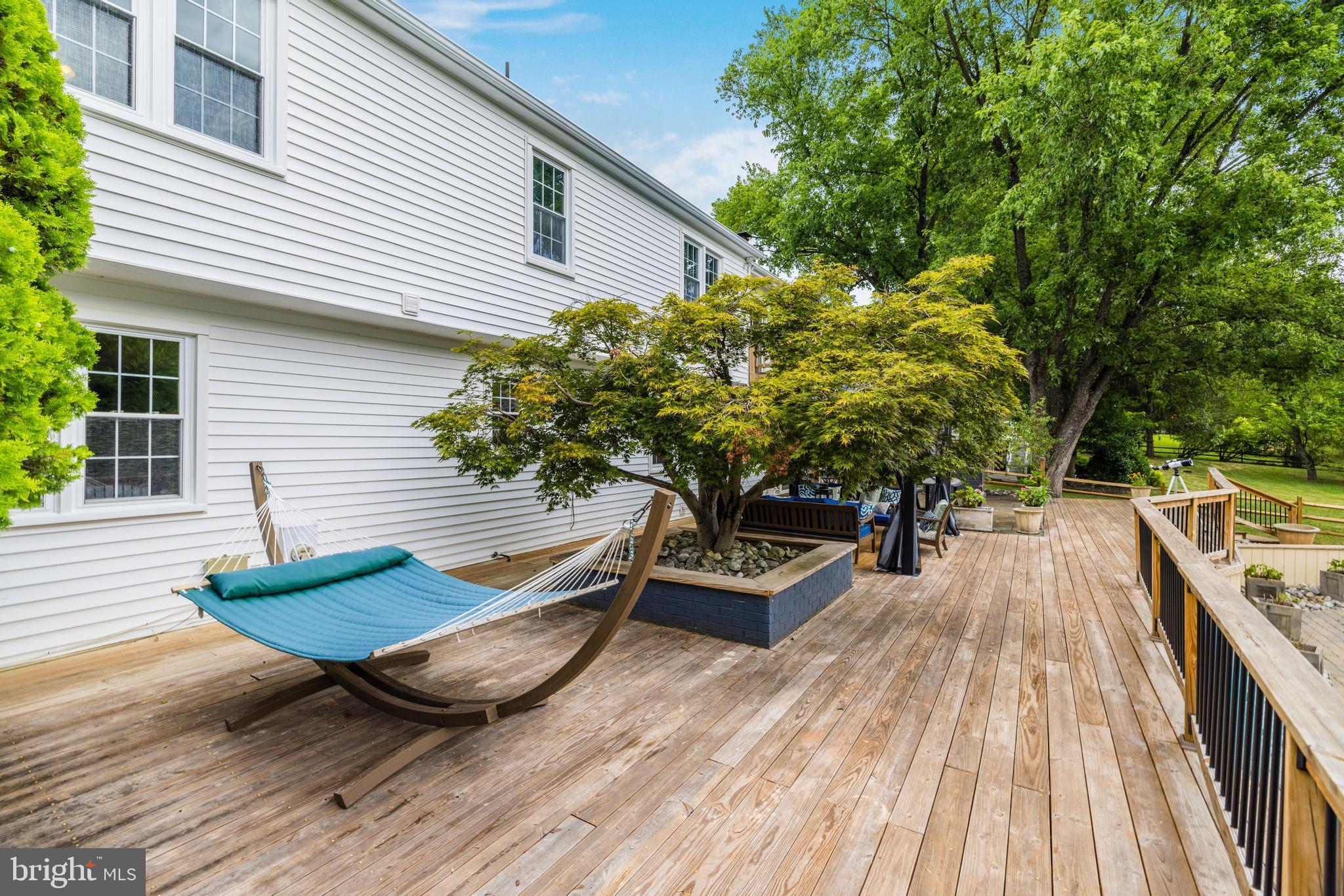 1006 Cup Leaf Holly Ct