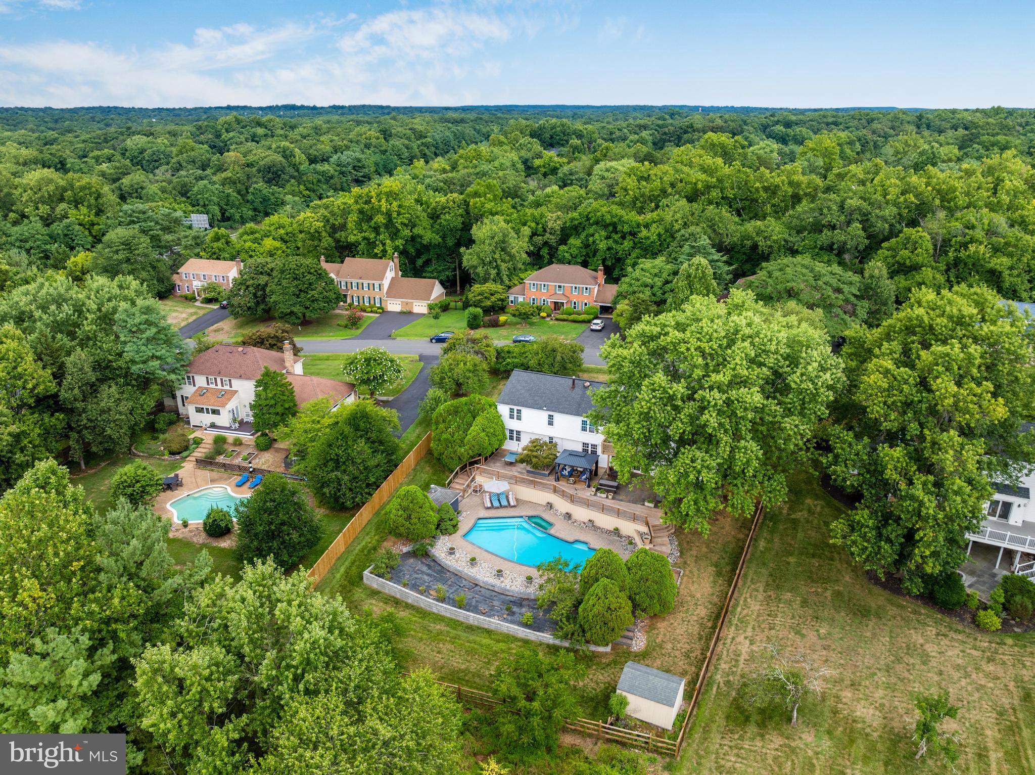 1006 Cup Leaf Holly Ct