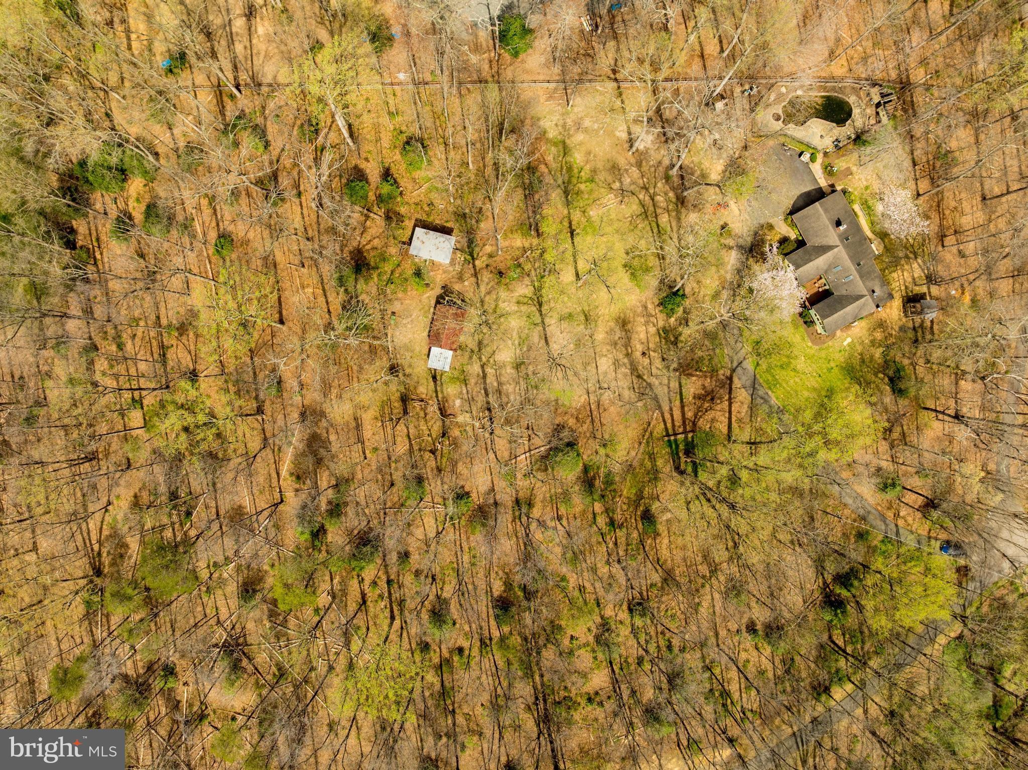 12828 Great Oak Ln