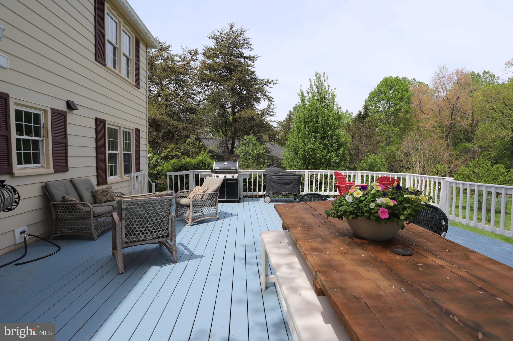 1031 CUP LEAF HOLLY COURT