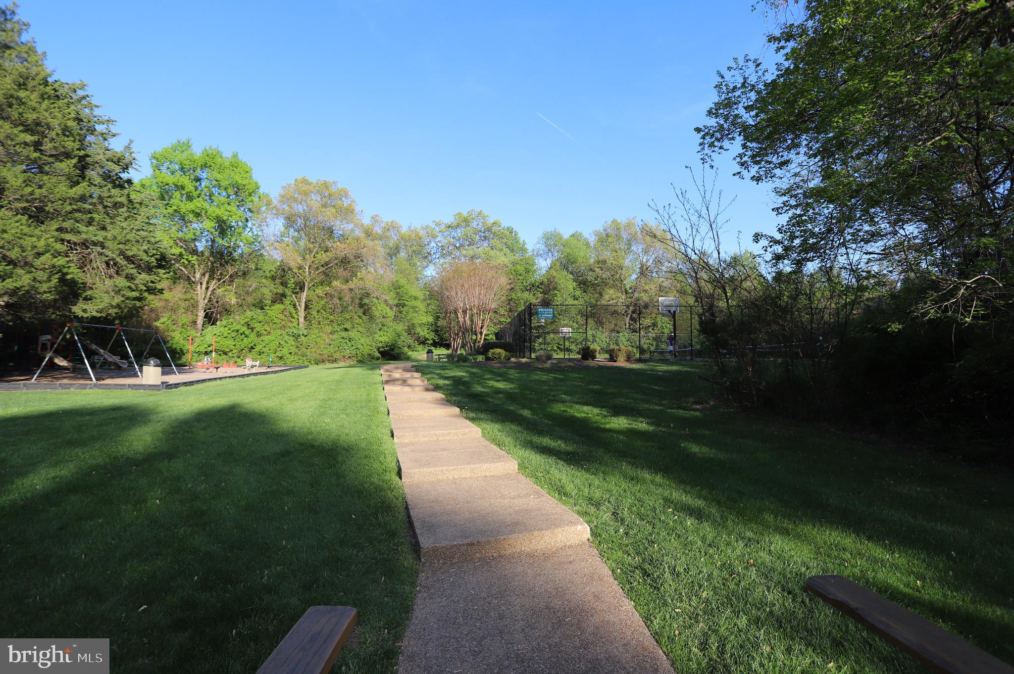 1031 CUP LEAF HOLLY COURT