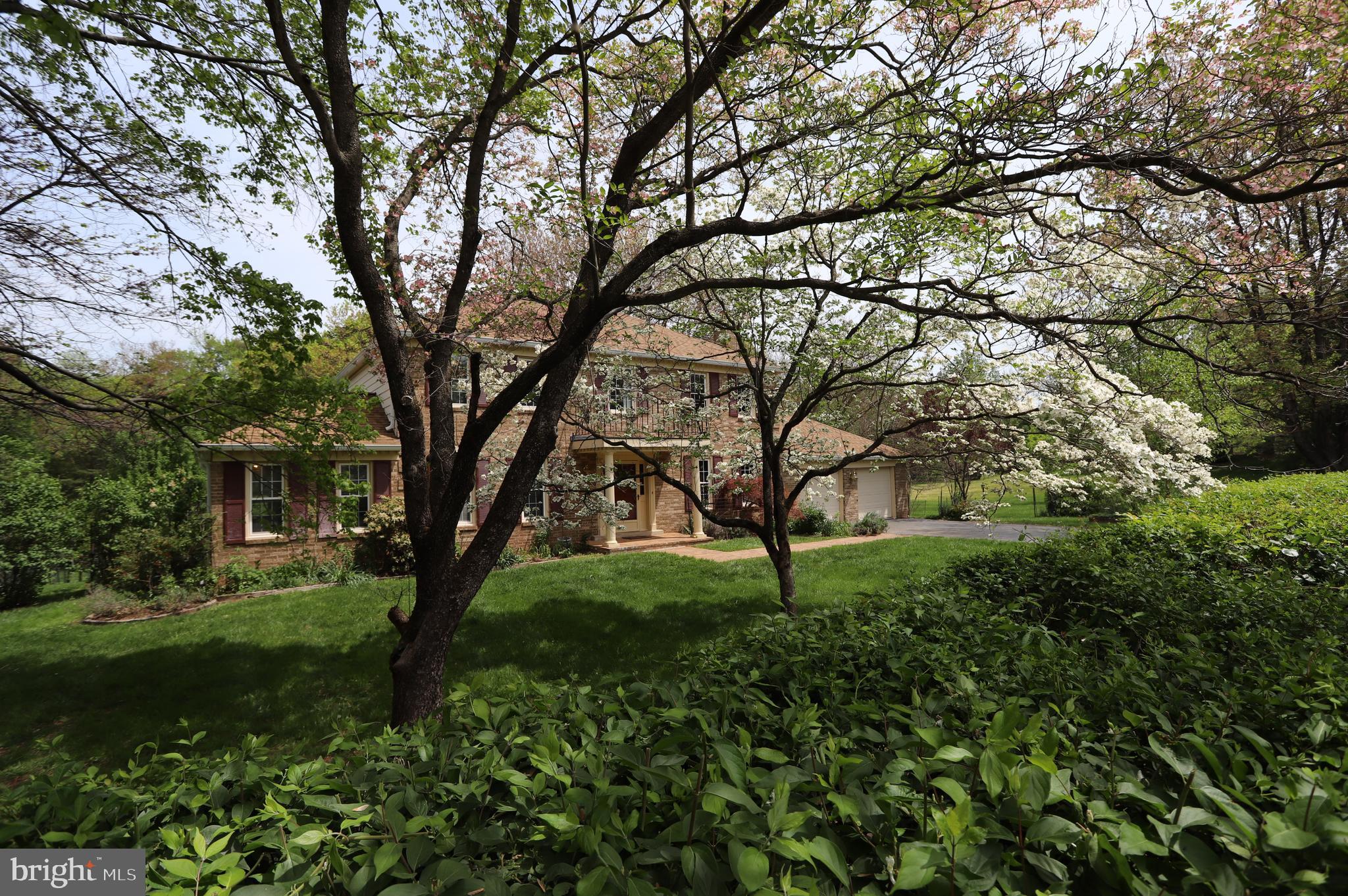 1031 CUP LEAF HOLLY COURT