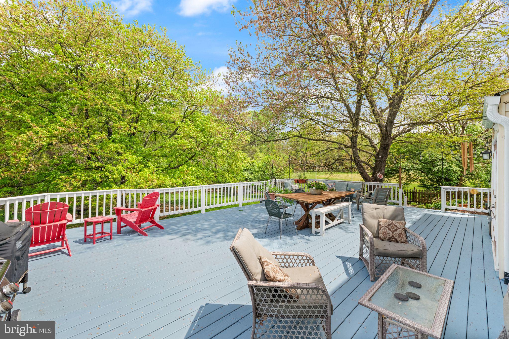 1031 CUP LEAF HOLLY COURT