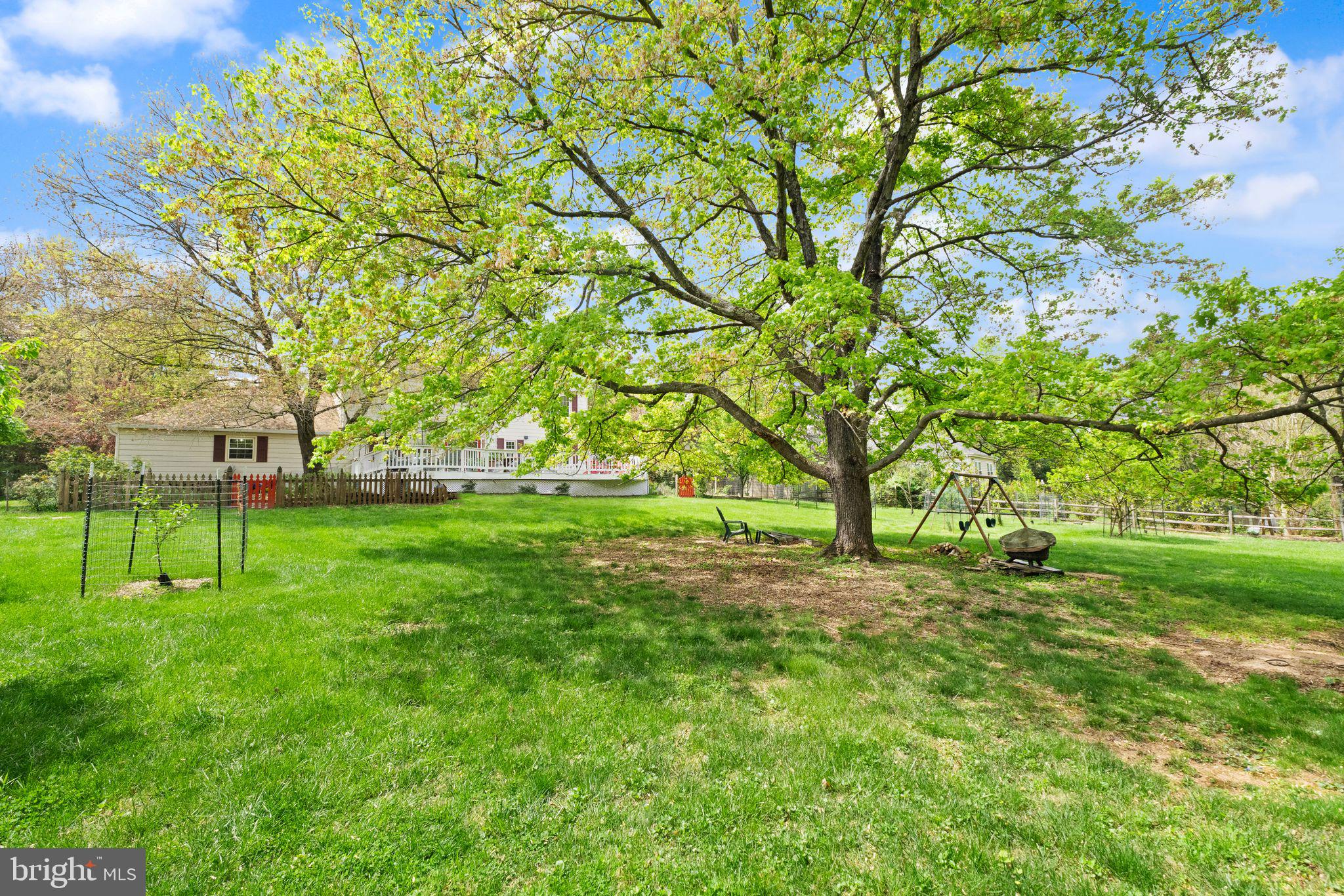 1031 CUP LEAF HOLLY COURT