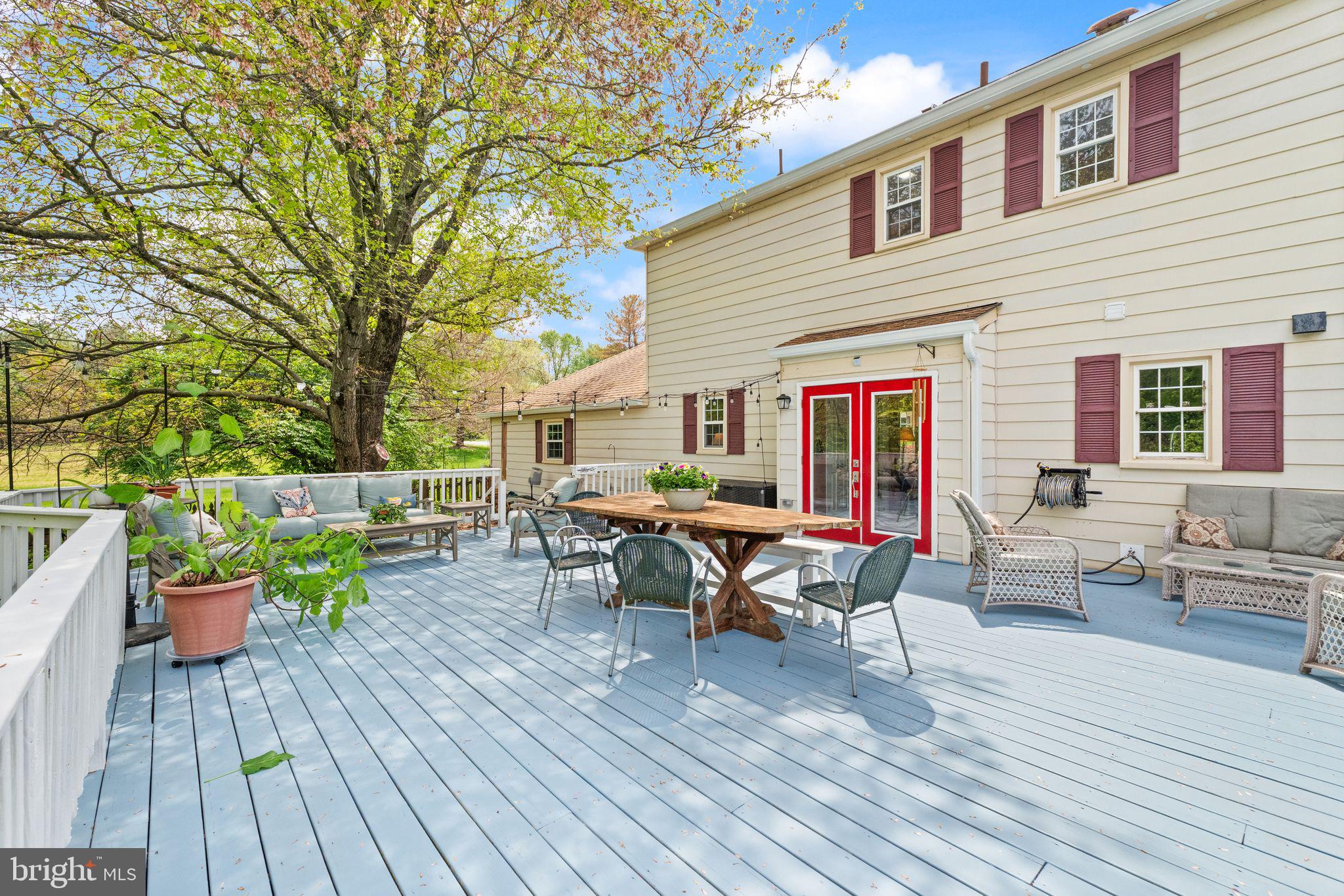 1031 CUP LEAF HOLLY COURT