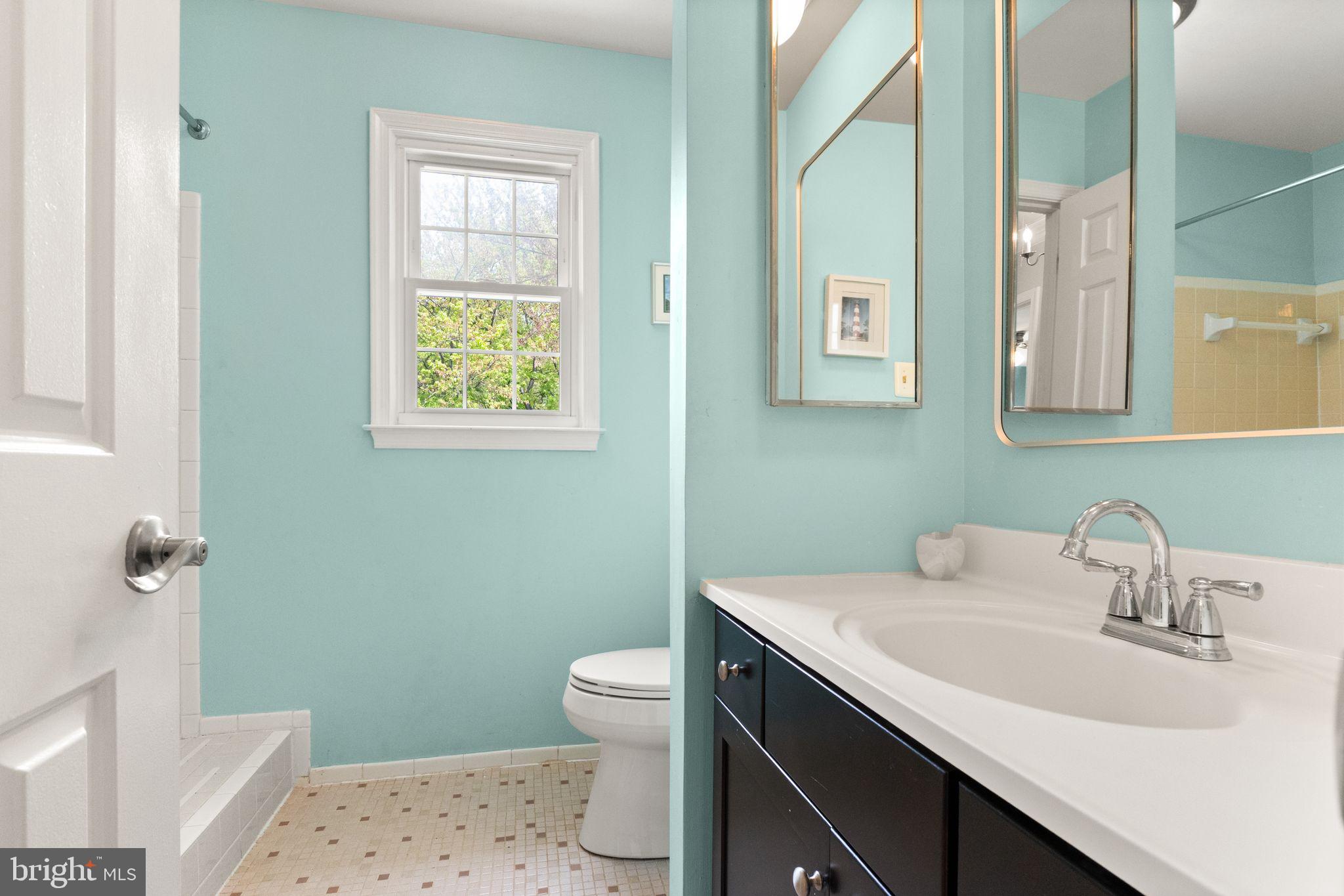 1031 CUP LEAF HOLLY COURT