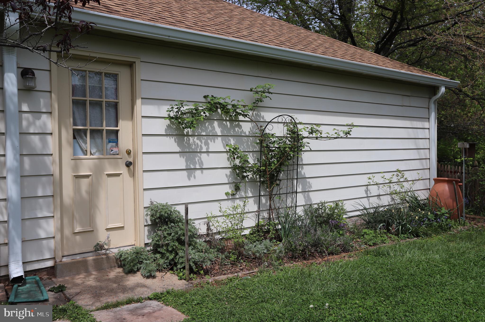 1031 CUP LEAF HOLLY COURT