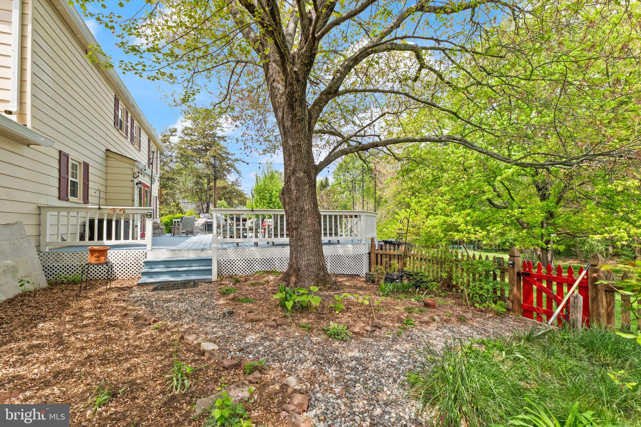 1031 CUP LEAF HOLLY COURT