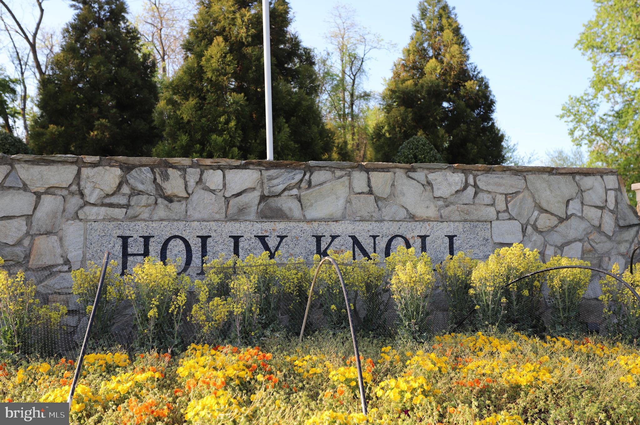 1031 CUP LEAF HOLLY COURT