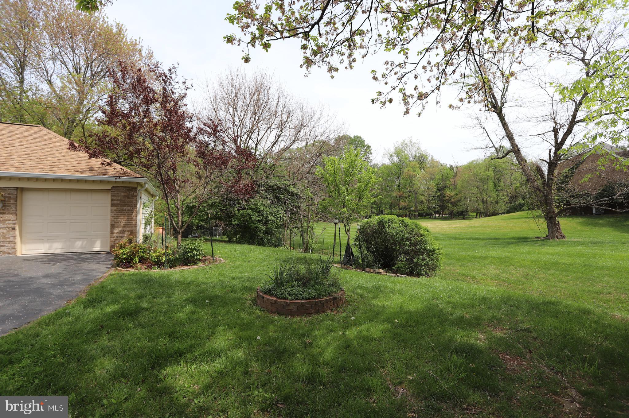 1031 CUP LEAF HOLLY COURT