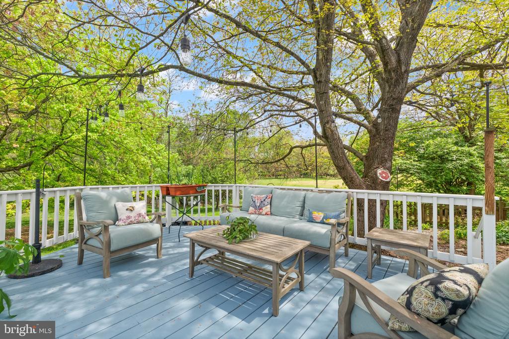 1031 CUP LEAF HOLLY COURT