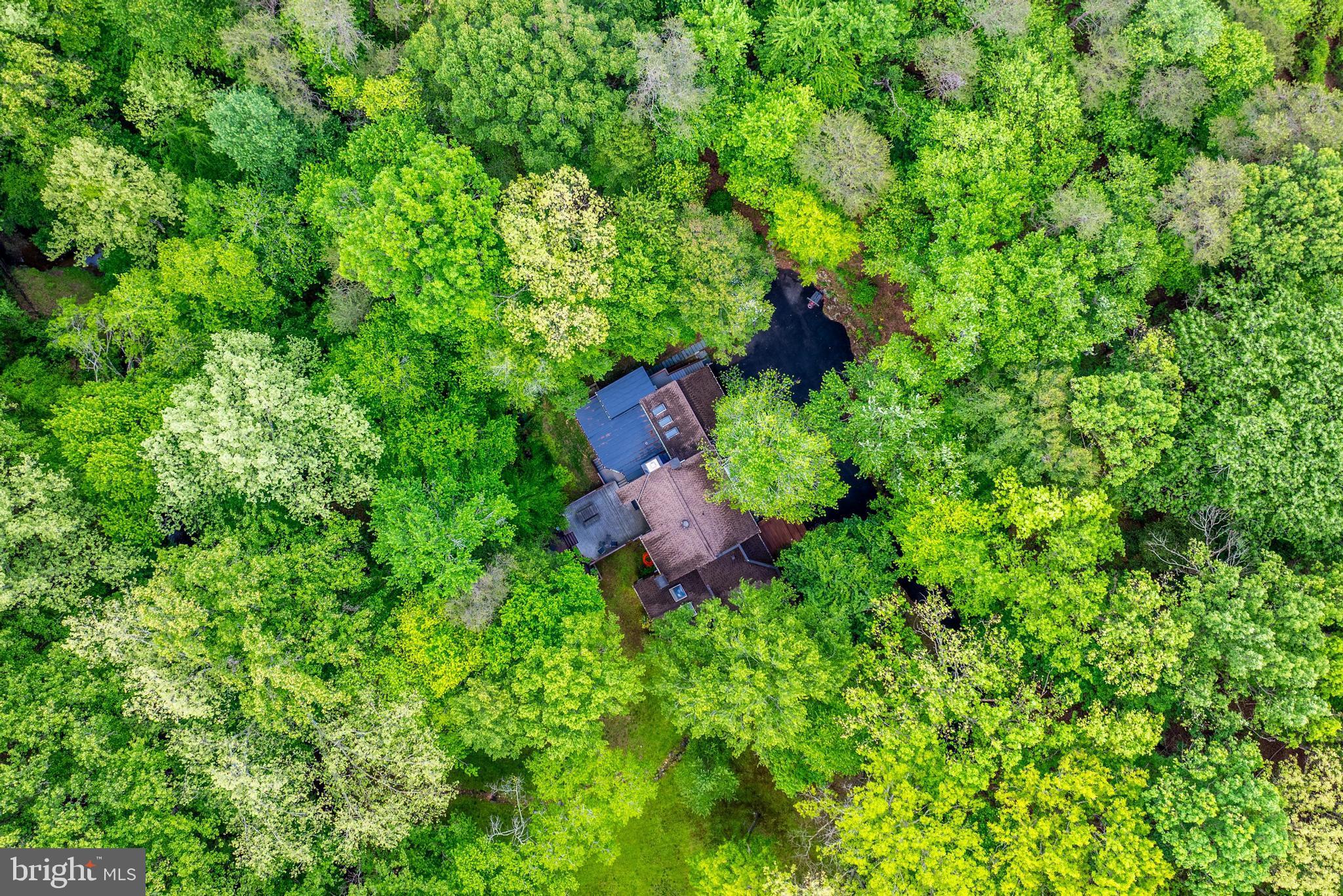 9700 Beach Mill Rd