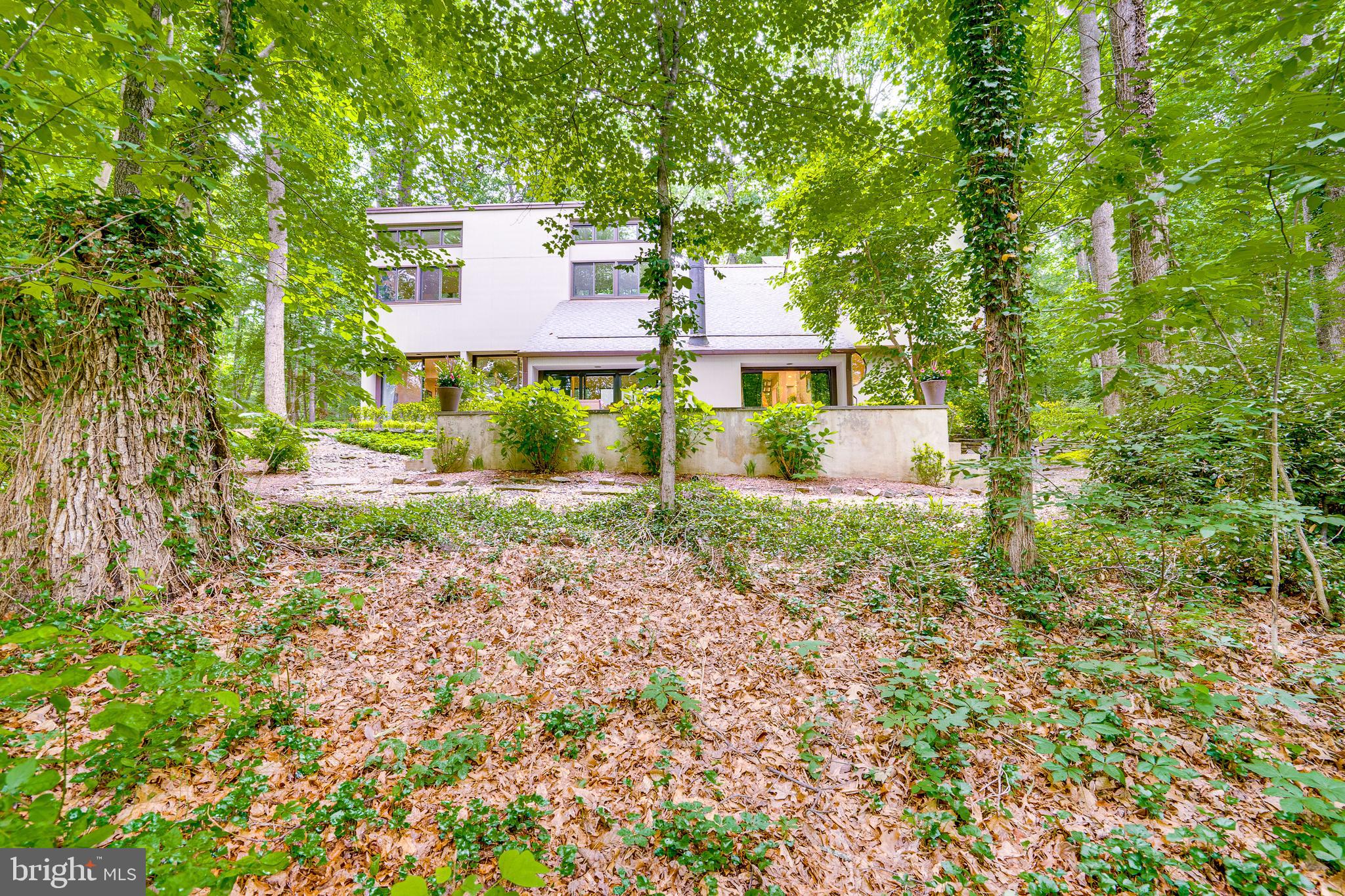 11405 PURPLE BEECH DRIVE