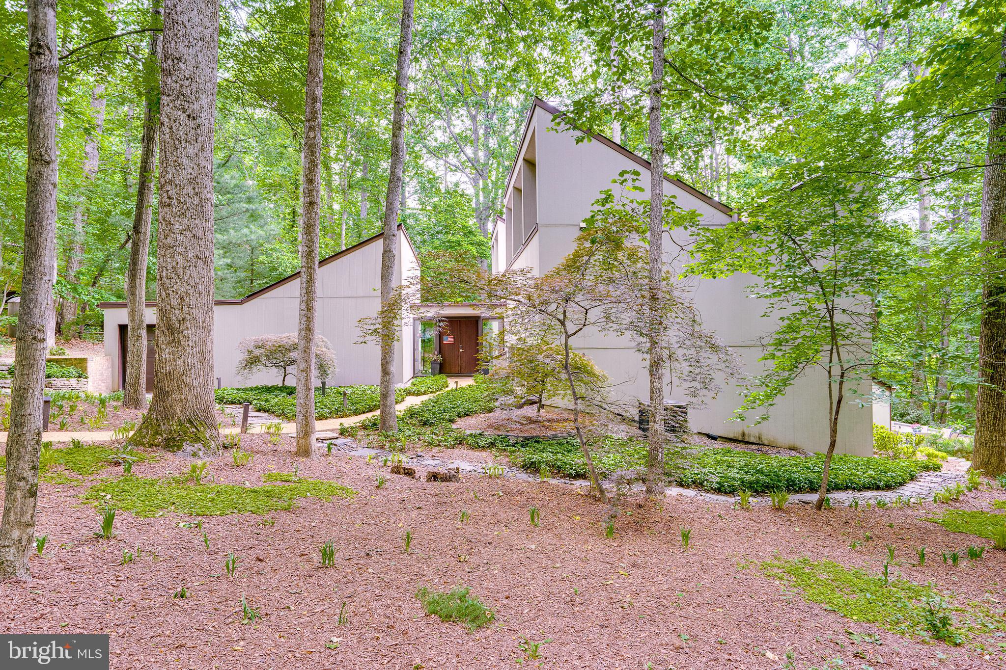 11405 PURPLE BEECH DRIVE