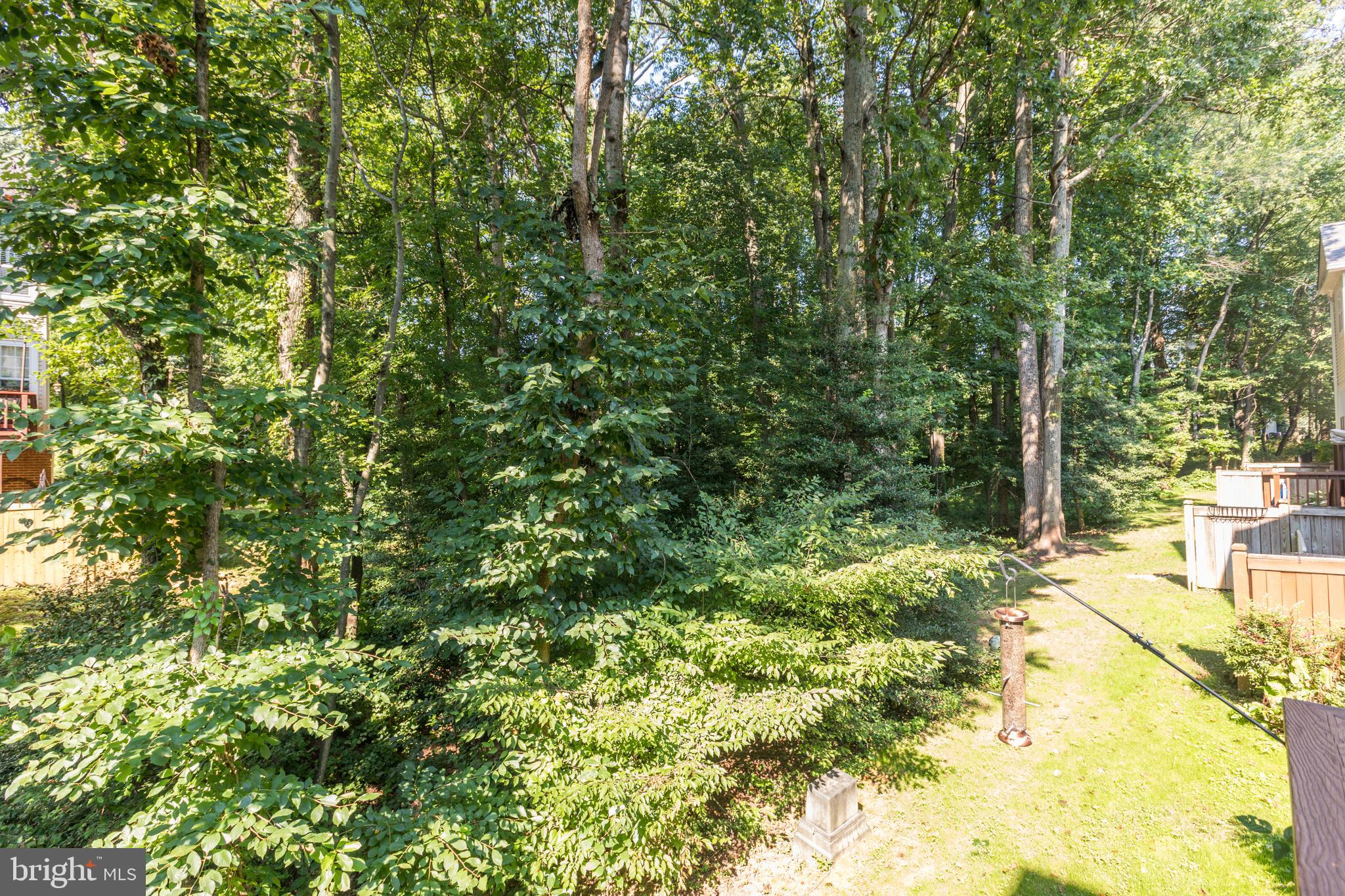 1234 WILD HAWTHORN WAY