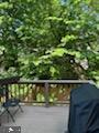 6880 MCLEAN PROVINCE CIRCLE