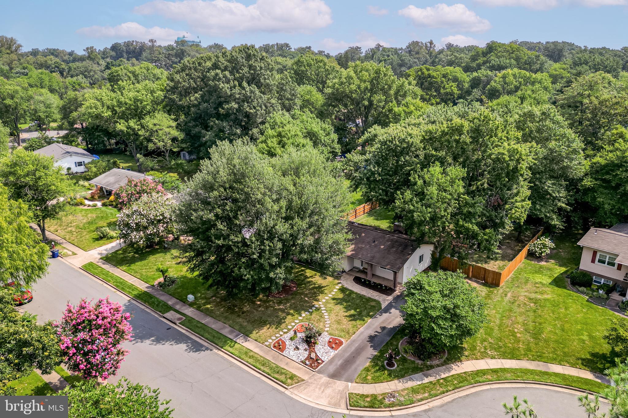909 MCDANIEL COURT