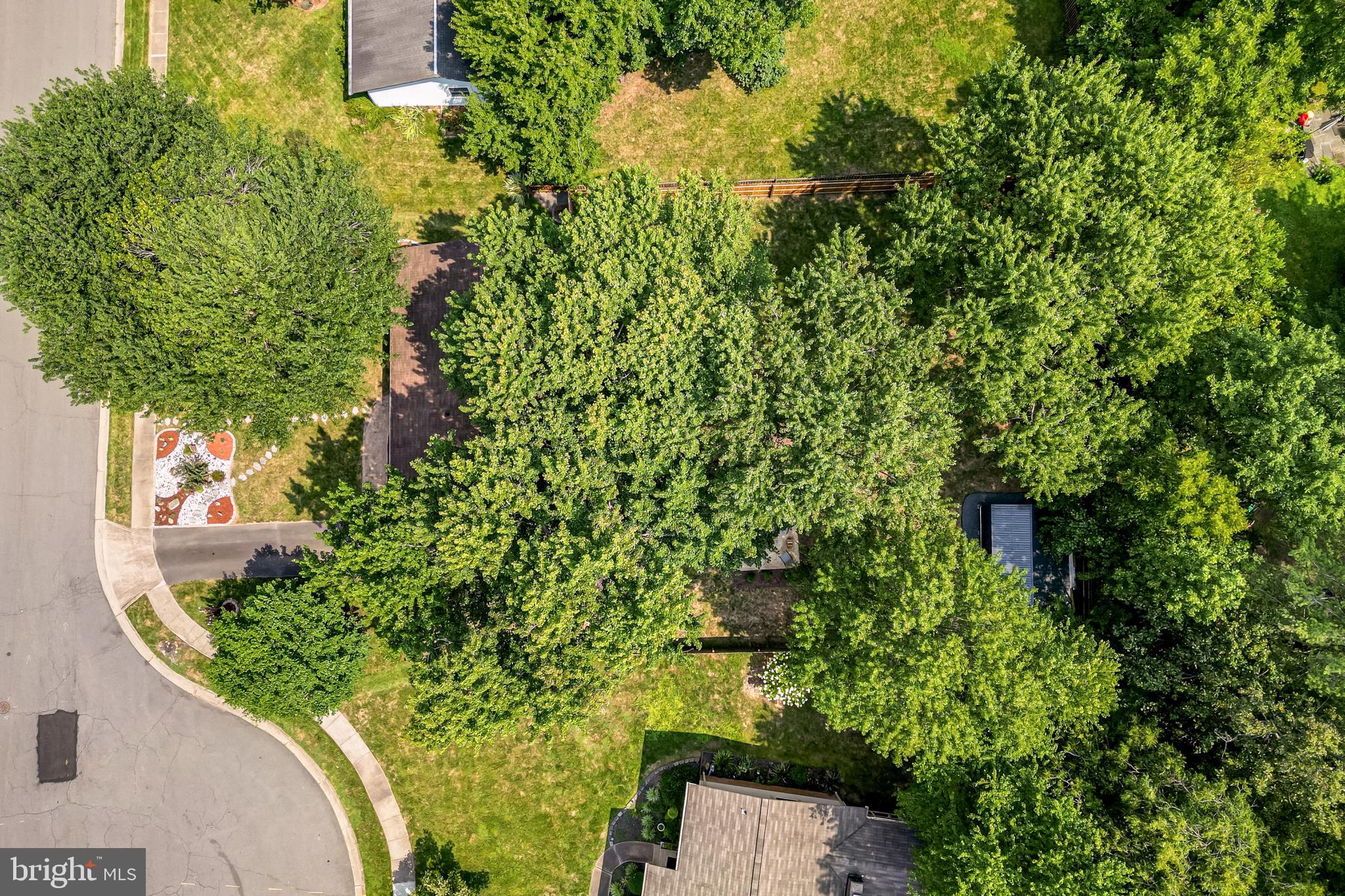 909 MCDANIEL COURT