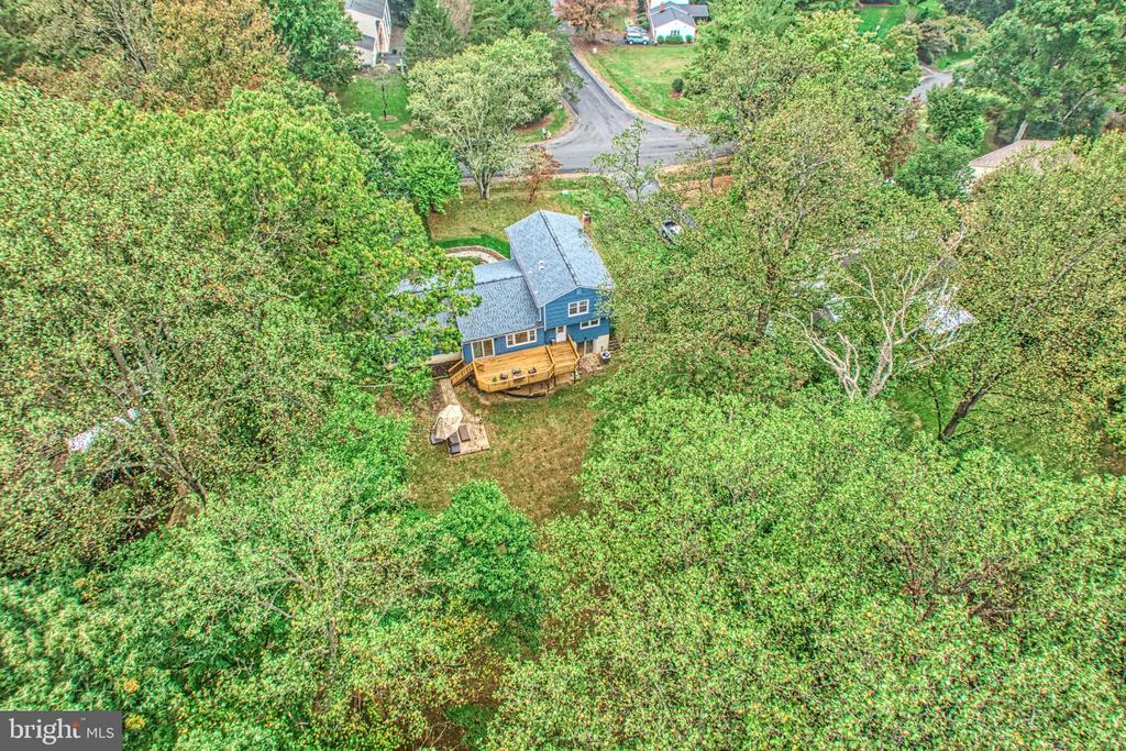 3119 COBB HILL LANE