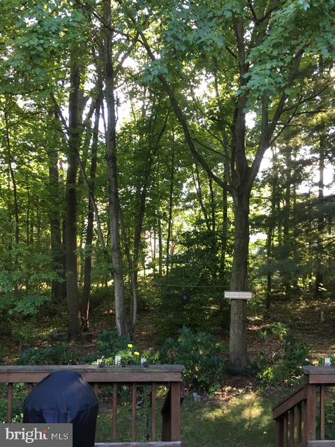 4634 STAR FLOWER DRIVE