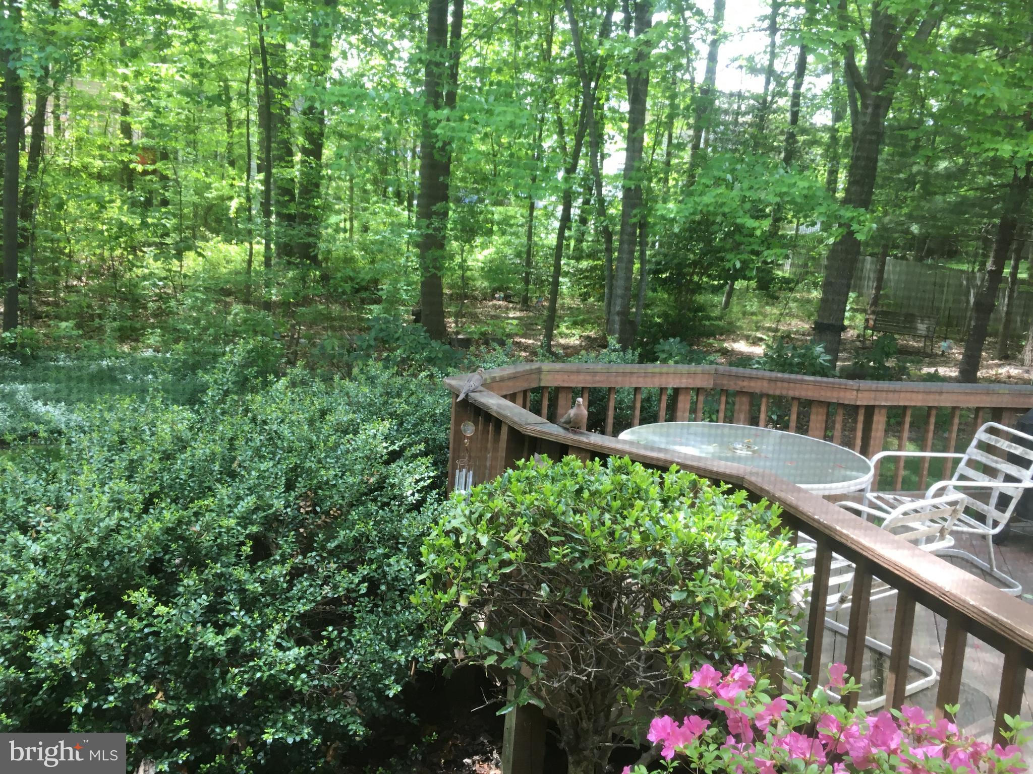 4634 STAR FLOWER DRIVE