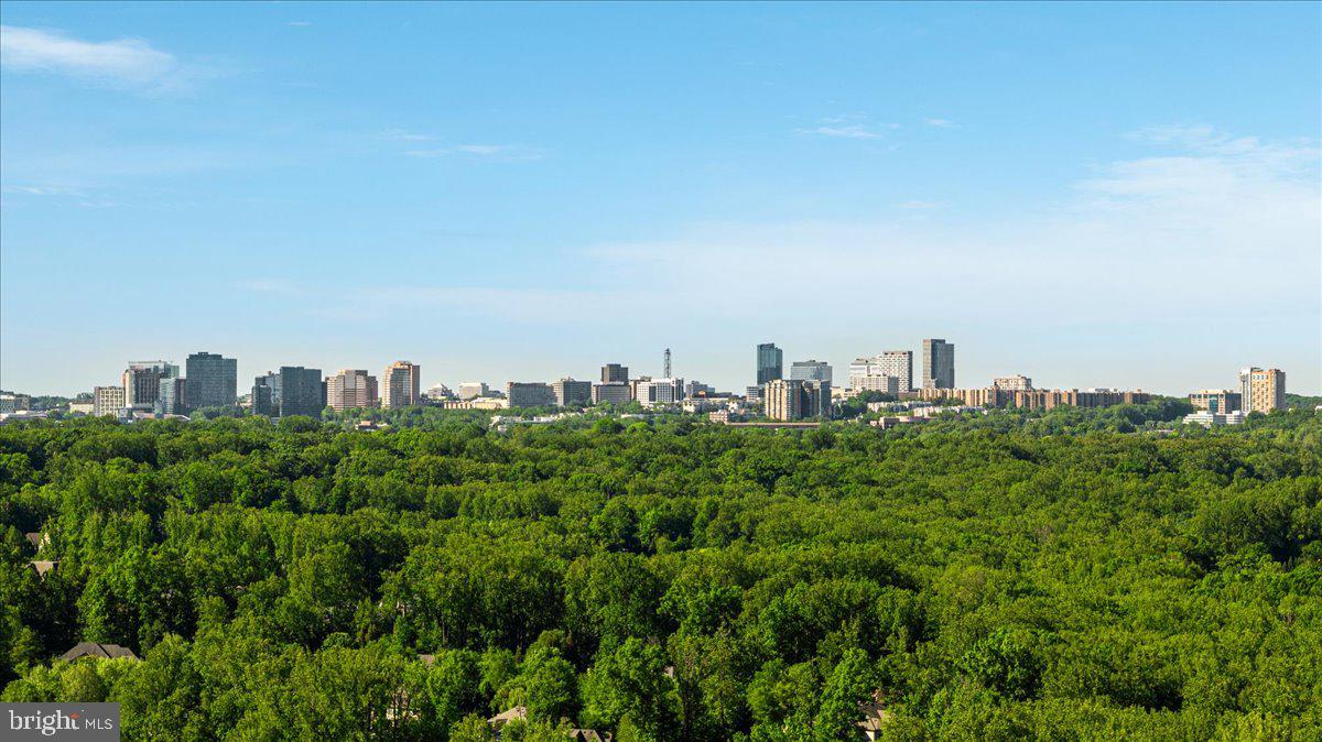 7818 GEORGETOWN PIKE