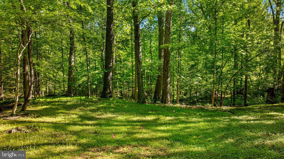 7818 GEORGETOWN PIKE