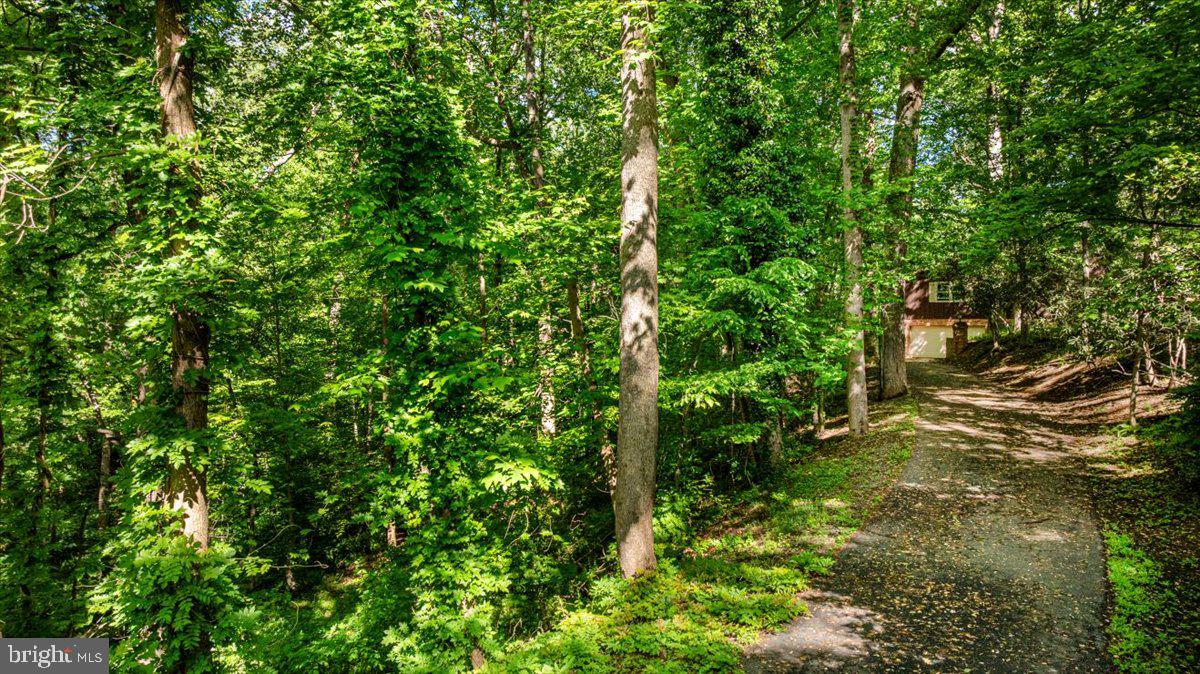 7818 GEORGETOWN PIKE