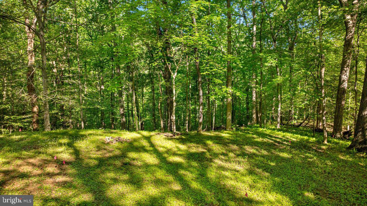 7818 GEORGETOWN PIKE