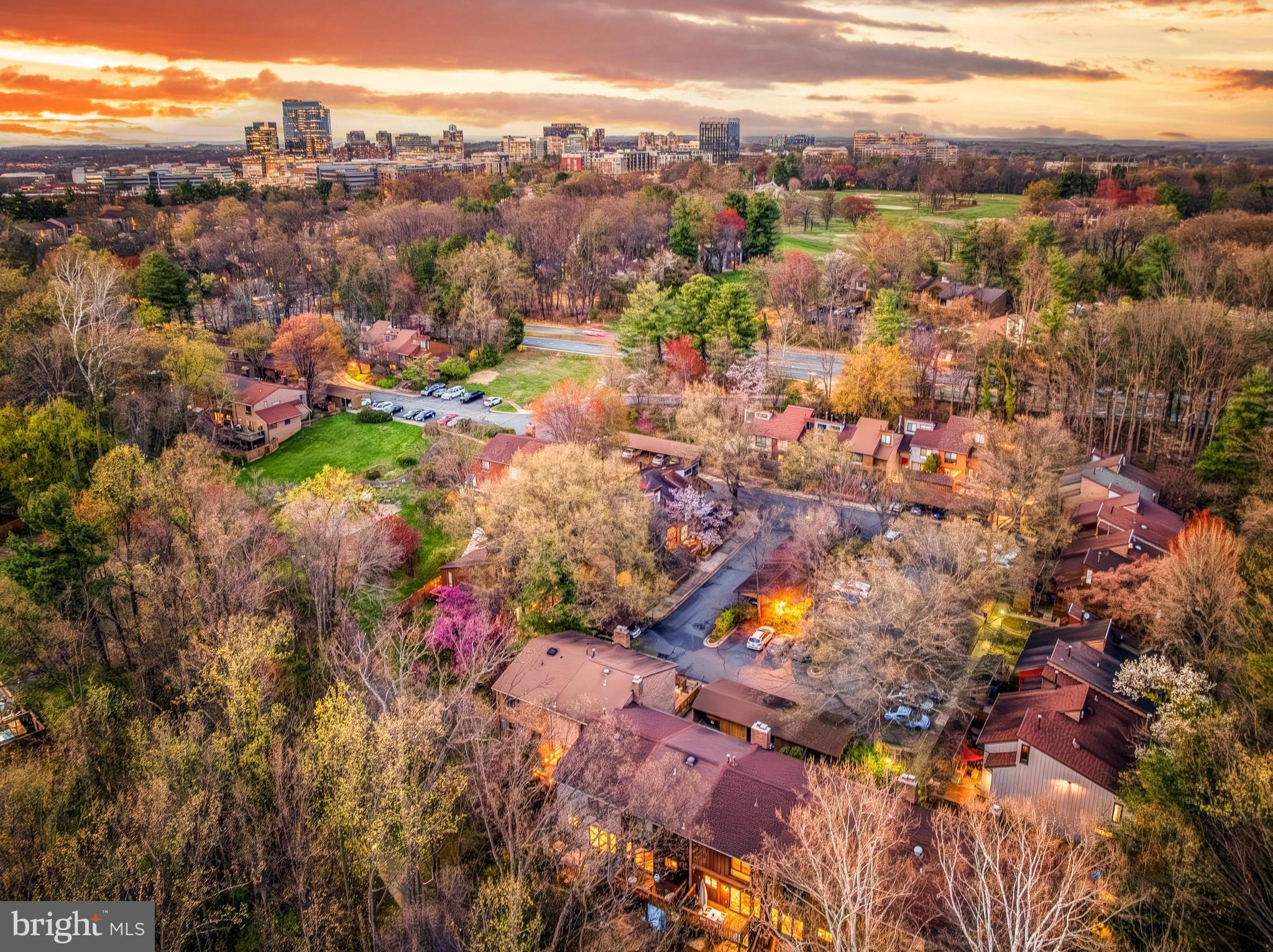 11915 ESCALANTE COURT