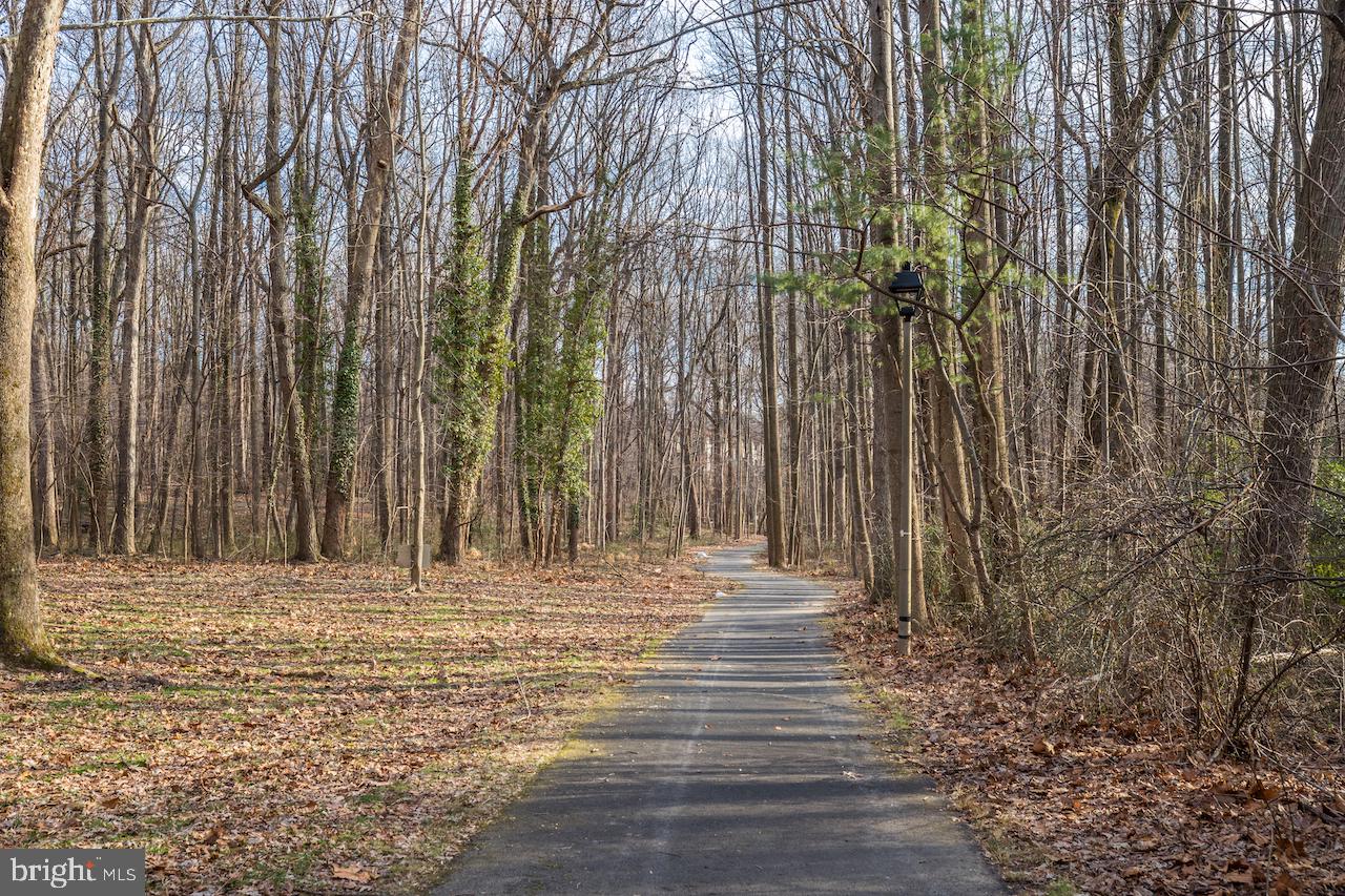 11915 ESCALANTE COURT