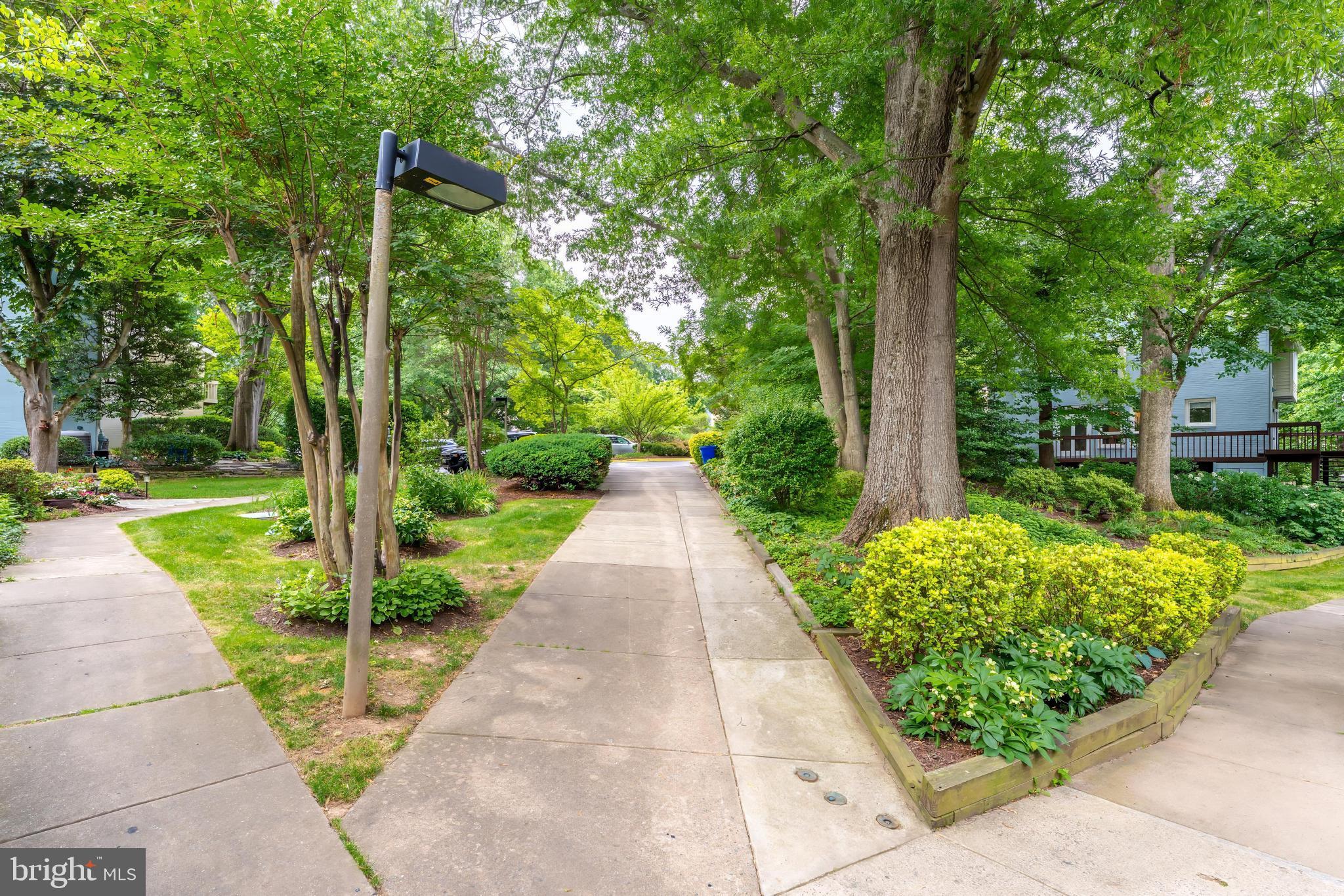 2020 CHADDS FORD DRIVE
