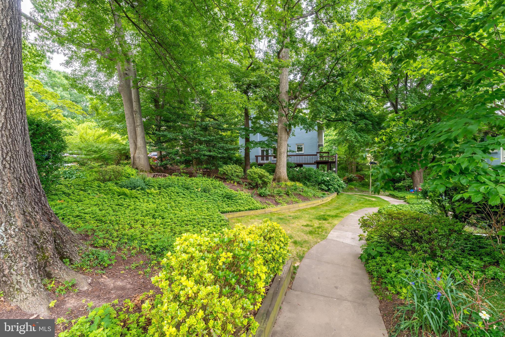 2020 CHADDS FORD DRIVE