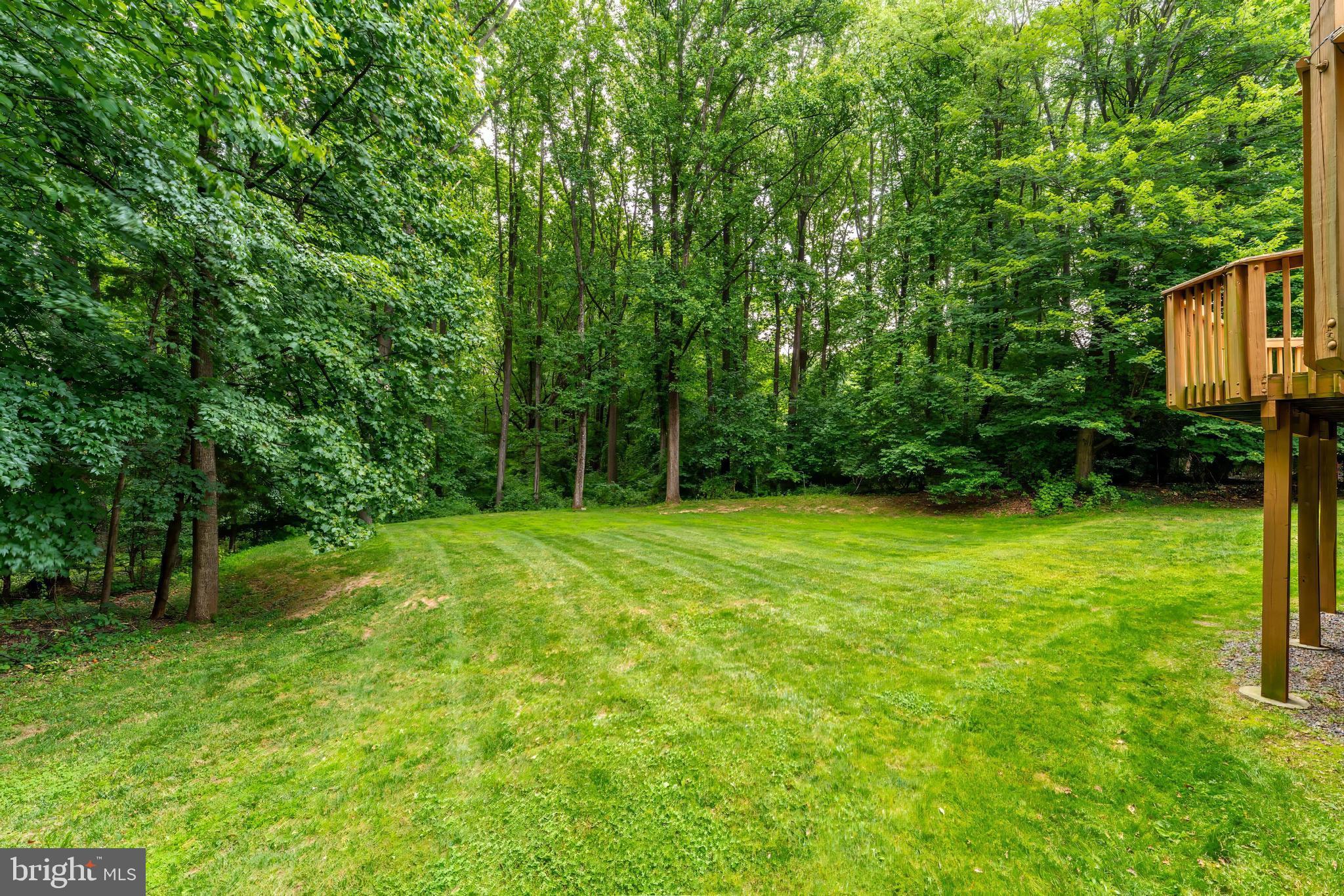 11618 HOLLY BRIAR LANE