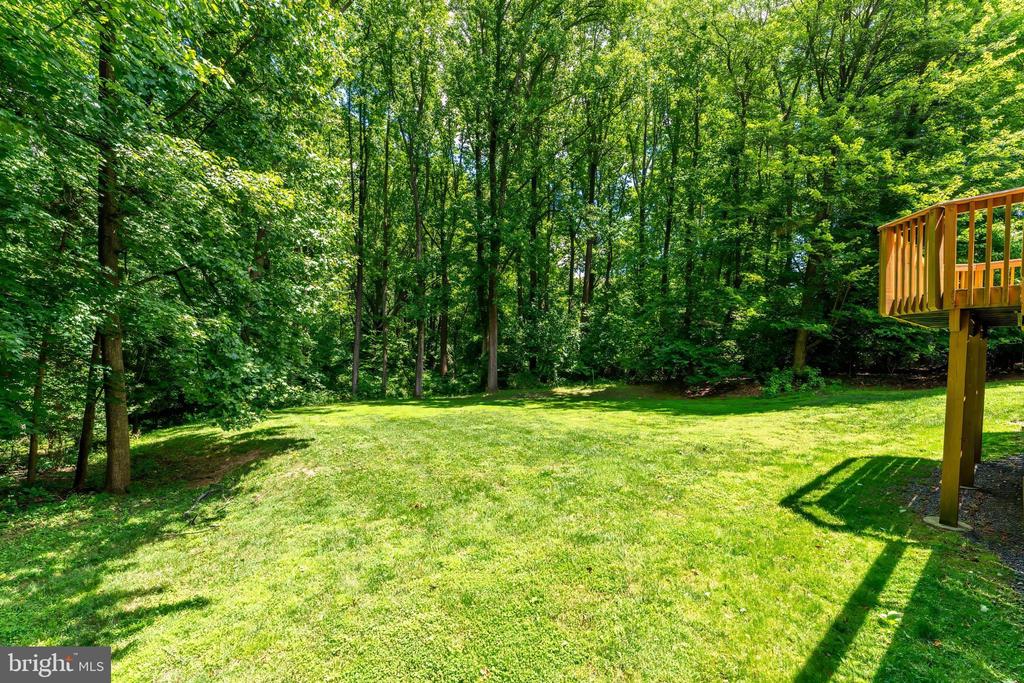 11618 HOLLY BRIAR LANE