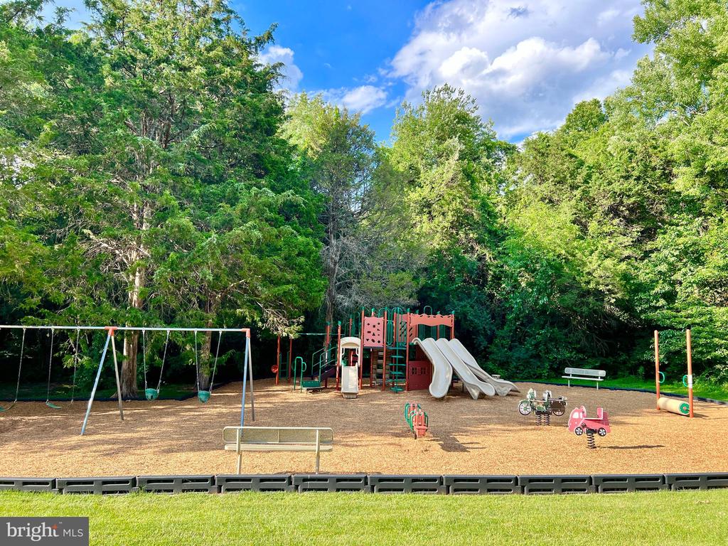 11618 HOLLY BRIAR LANE