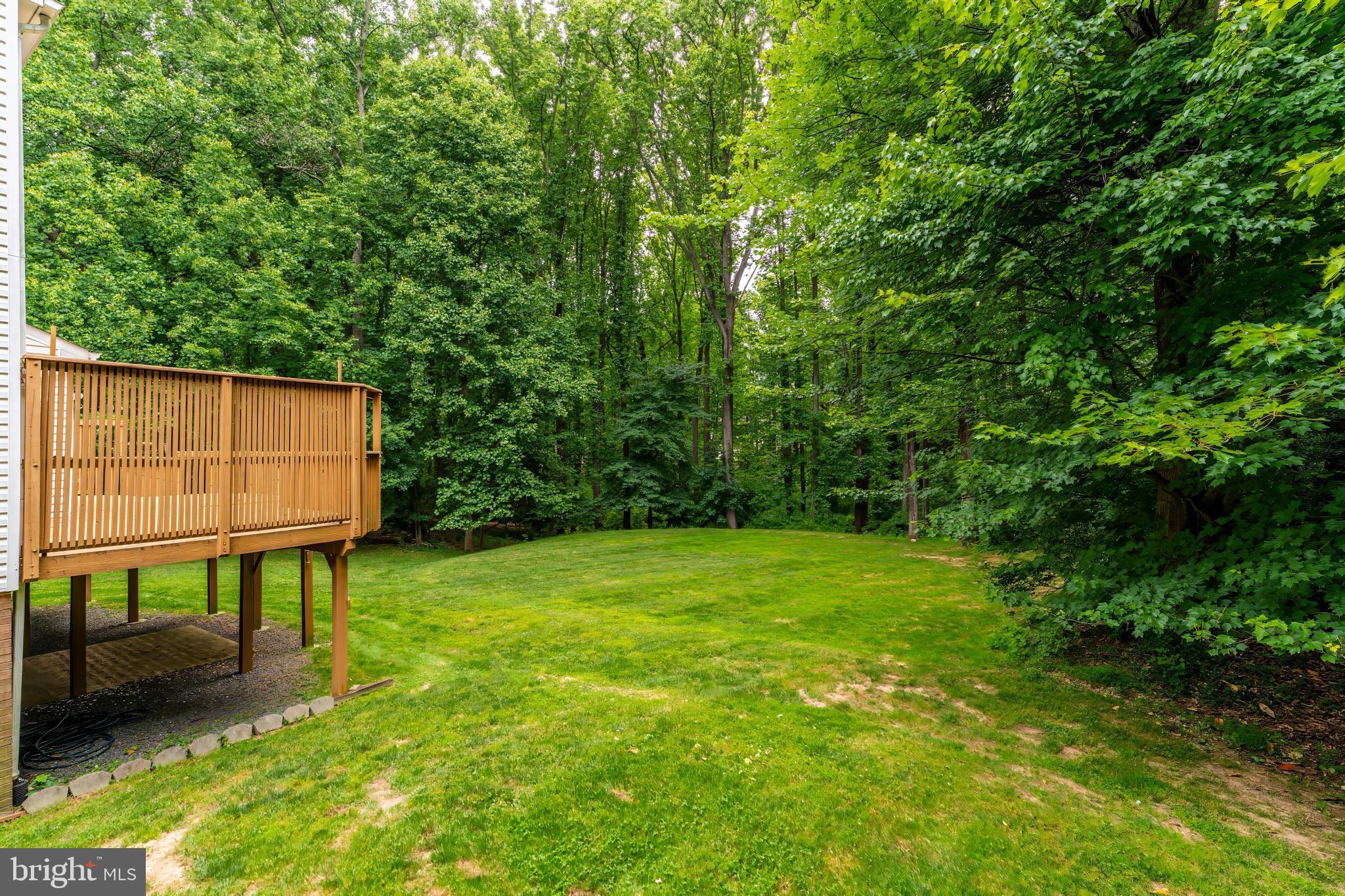11618 HOLLY BRIAR LANE