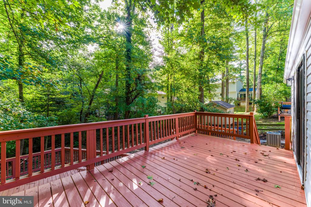 11586 RED LEAF COURT