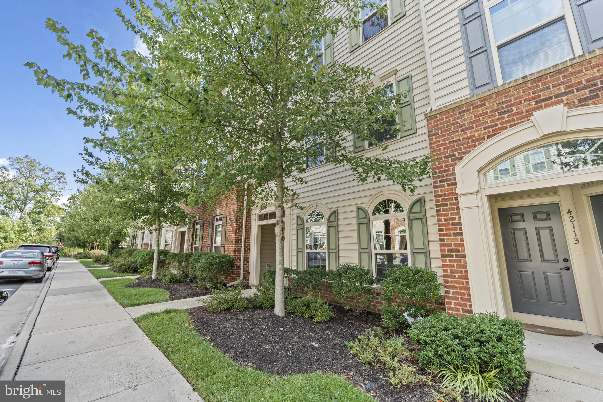 42115 Piebald Sq