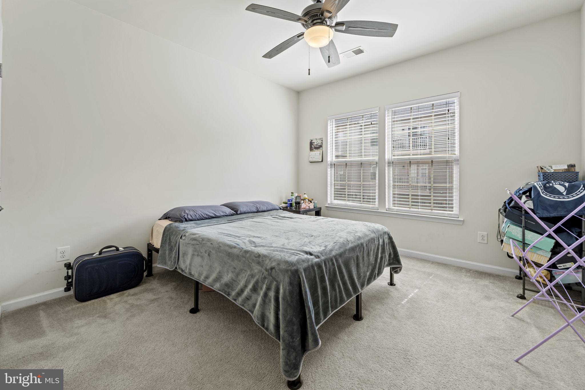 42115 Piebald Sq