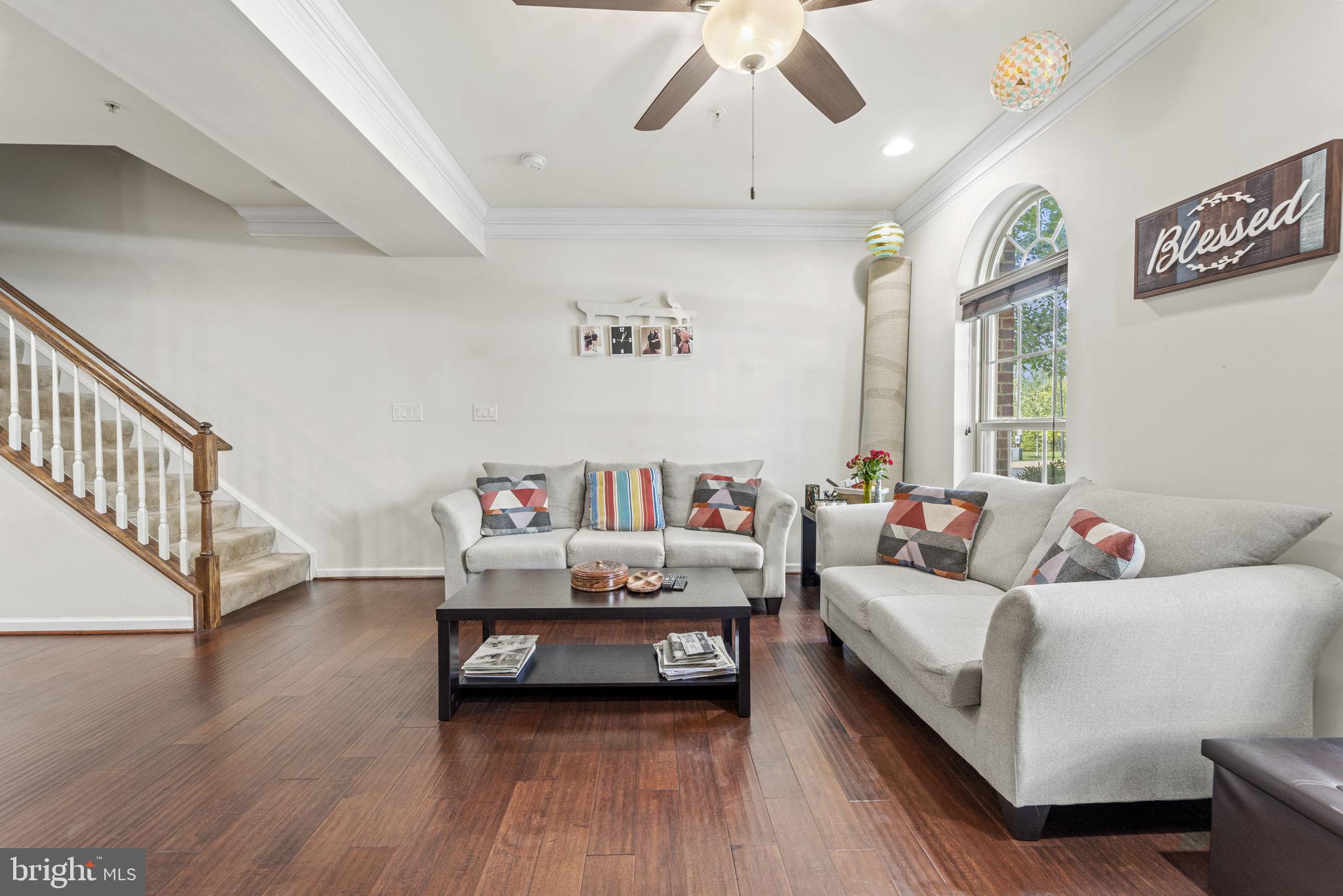 42115 Piebald Sq