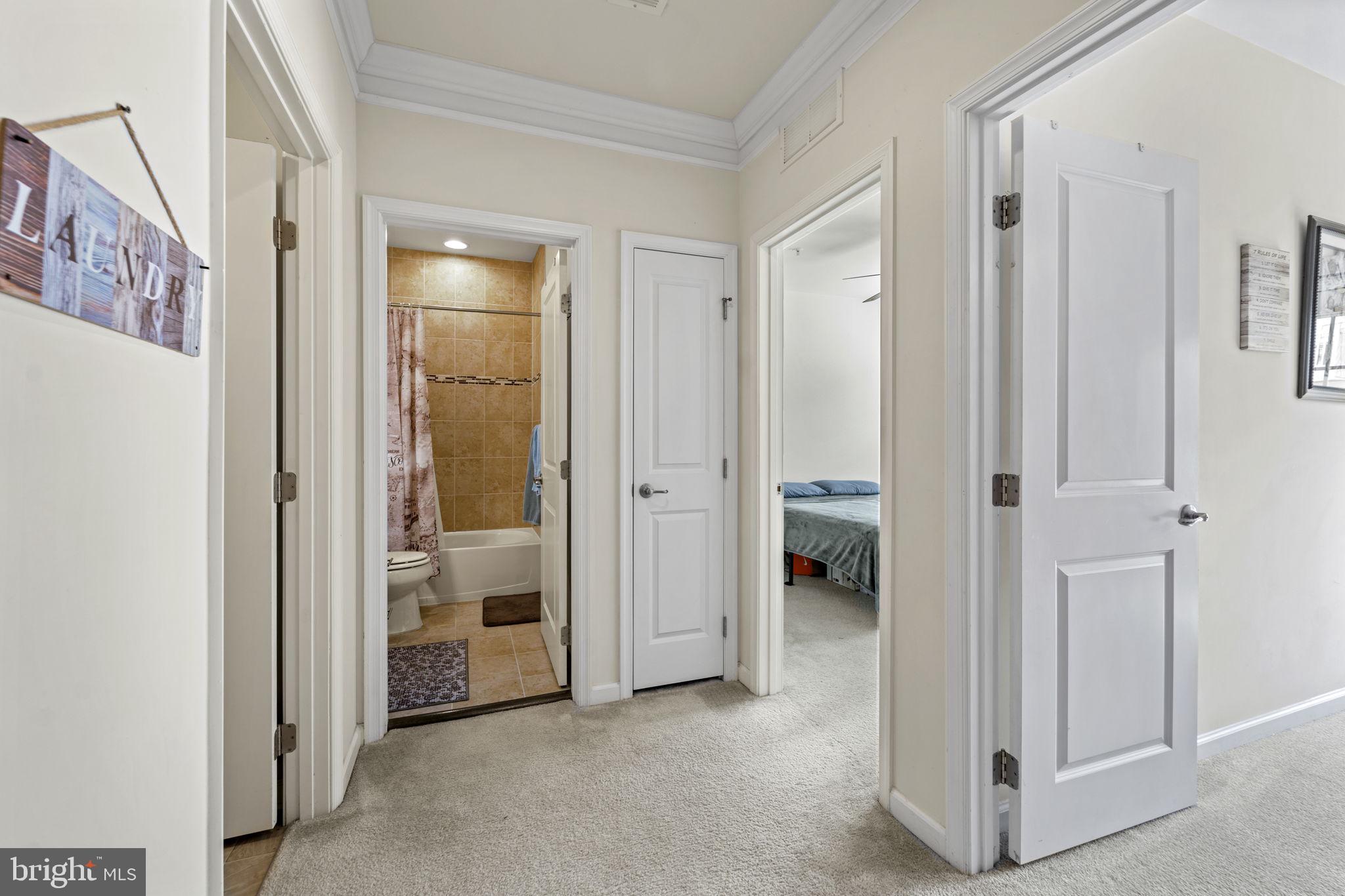 42115 Piebald Sq
