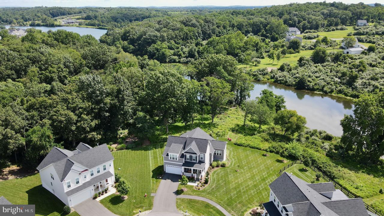 35833 Peninsula Ct