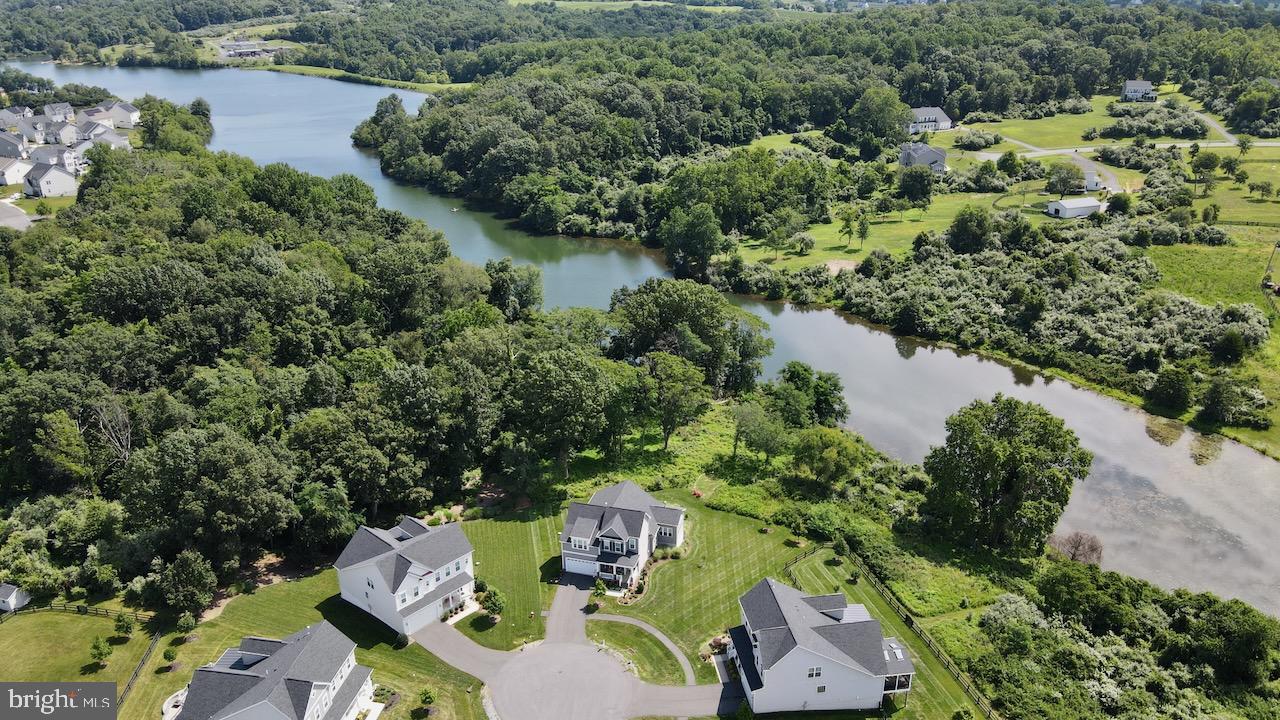 35833 Peninsula Ct