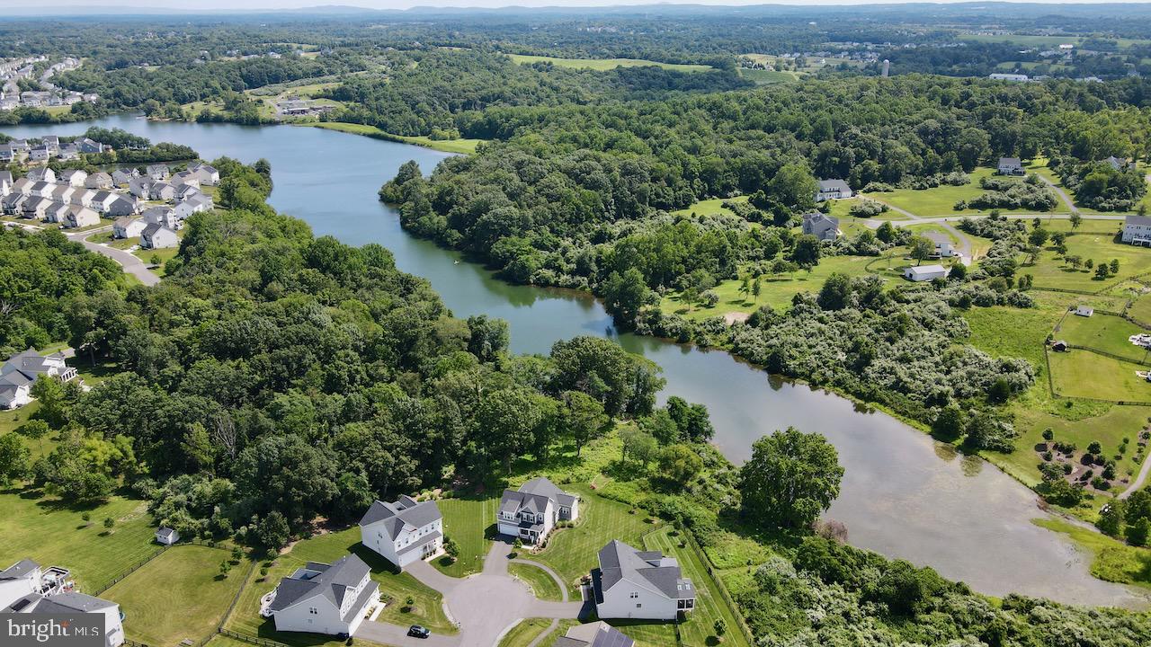 35833 Peninsula Ct