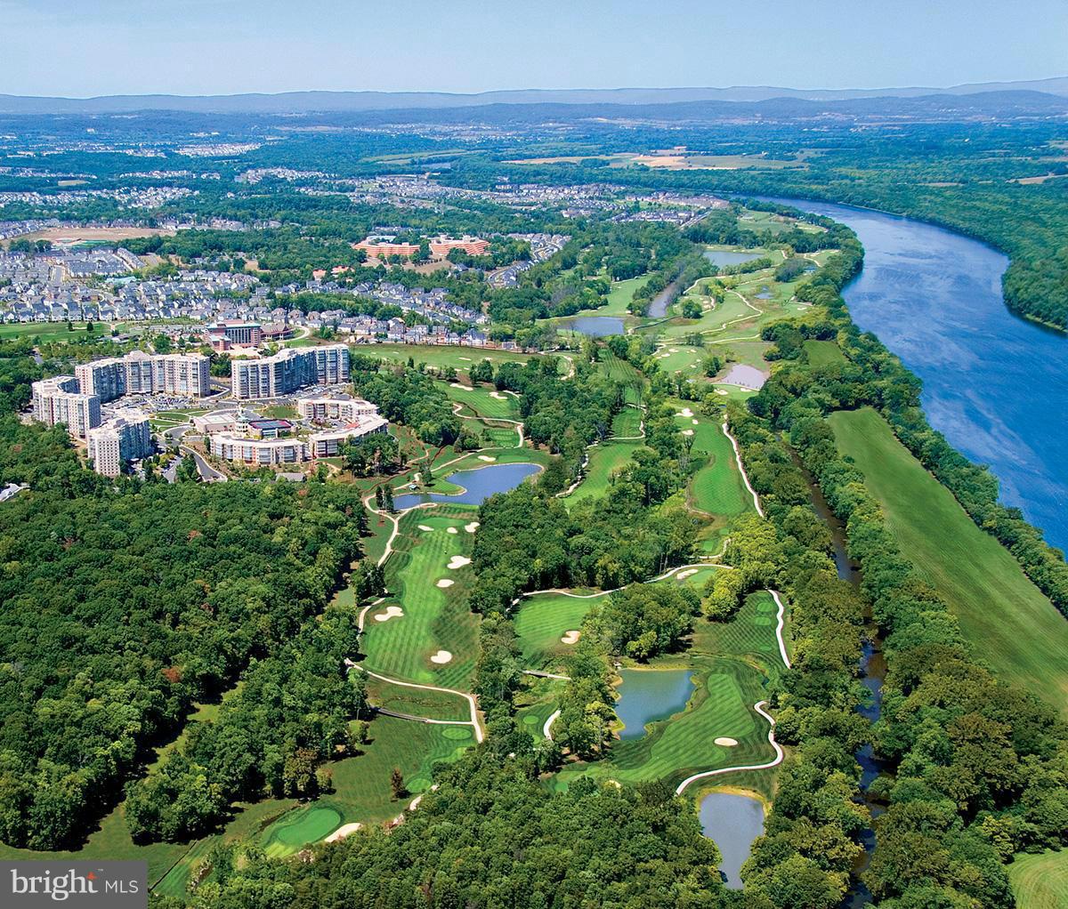 19370 MAGNOLIA GROVE SQUARE 203