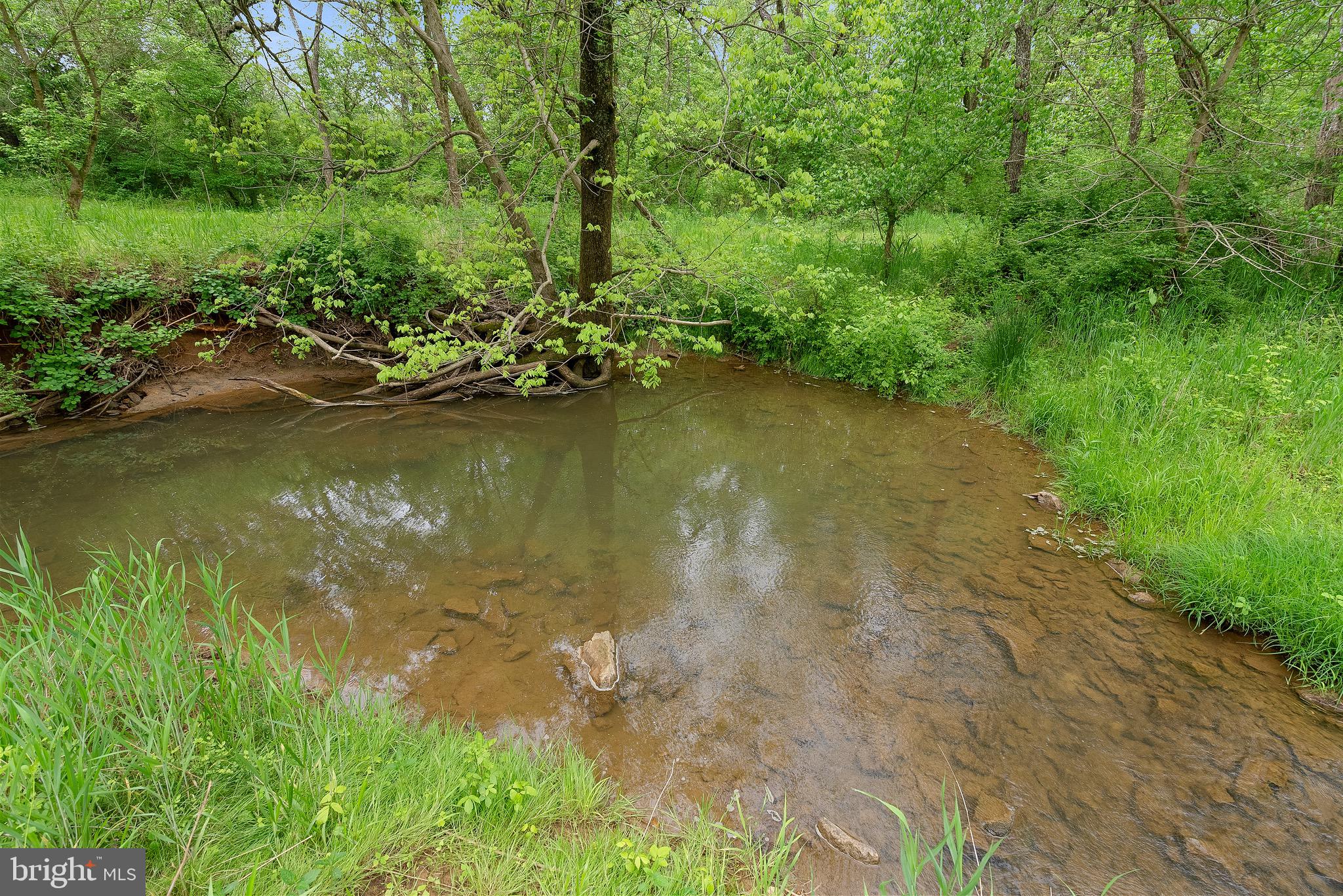 19281 HARMONY CHURCH ROAD